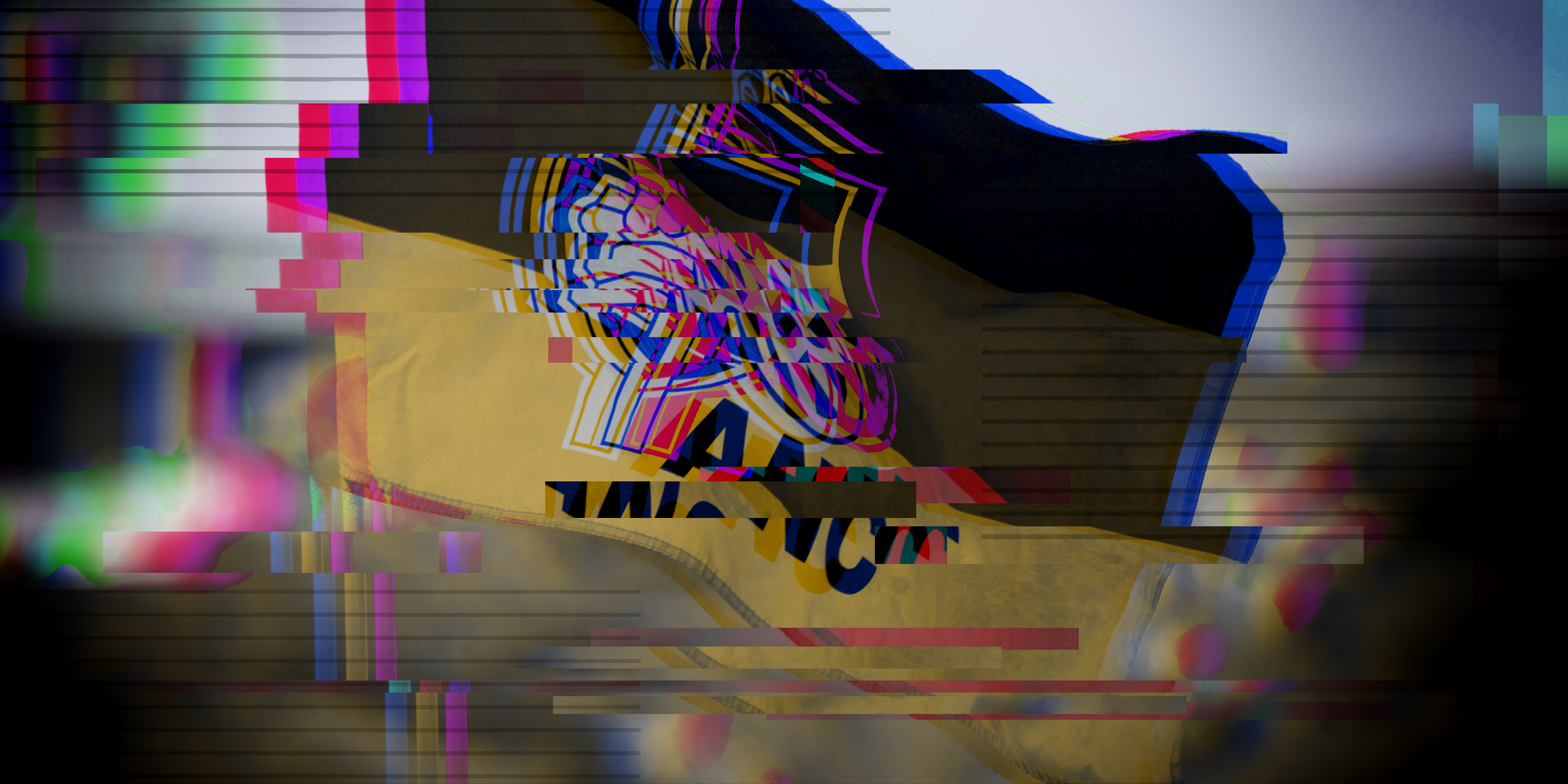 Technical glitches could see some ANC Free State branches excluded from the national conference