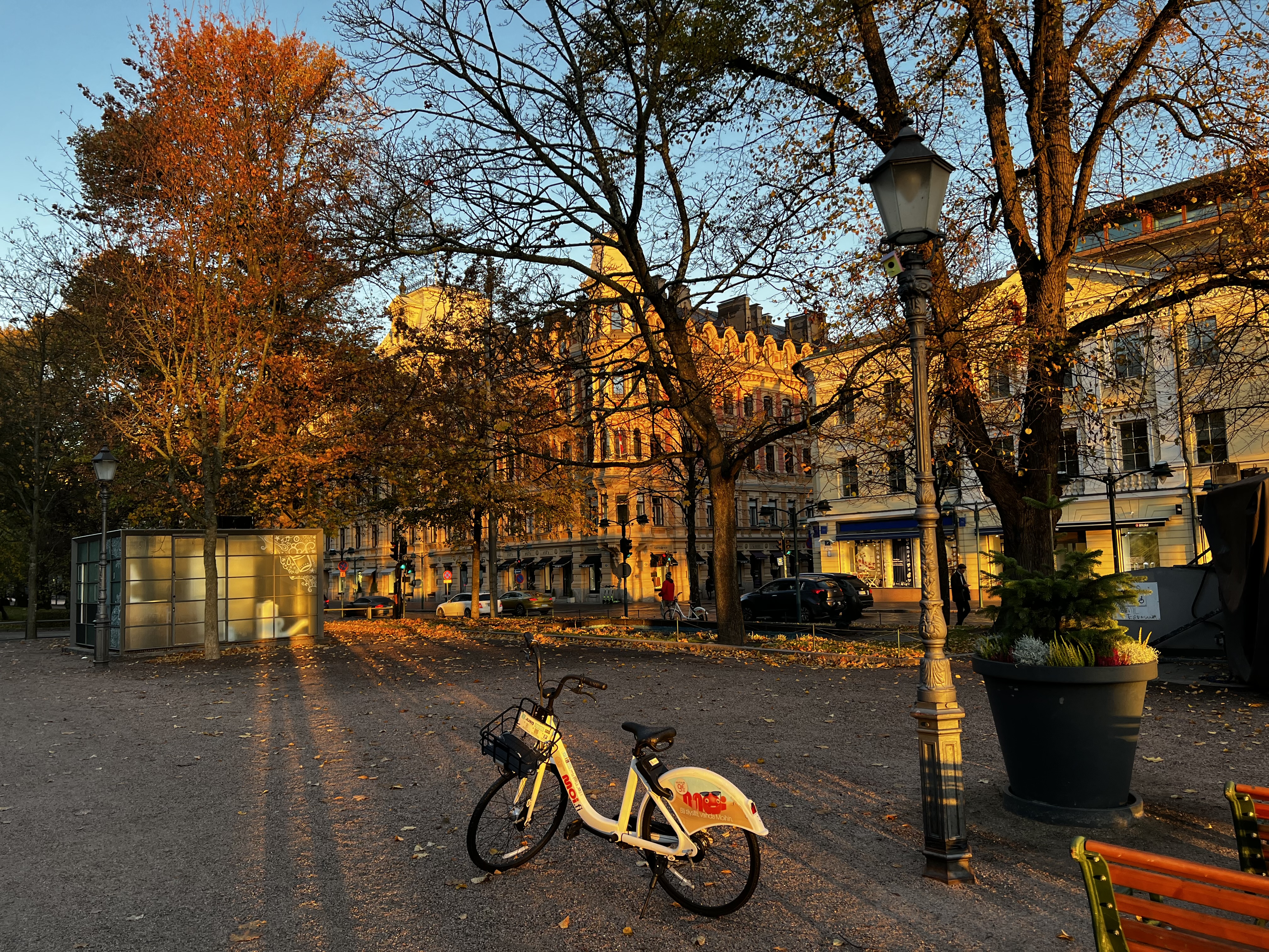 Moon over Helsinki: The wild and earthy food of ‘Suomi’