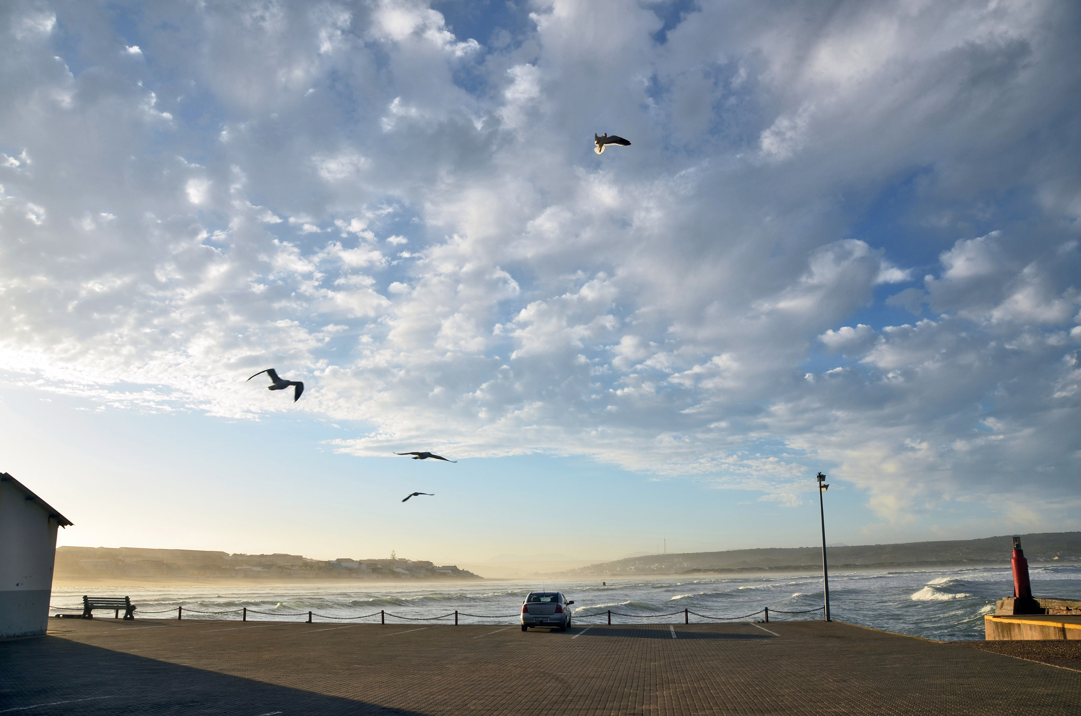 Rock stars: how a group of scientists in South Africa rescued a rare 500kg chunk of human history