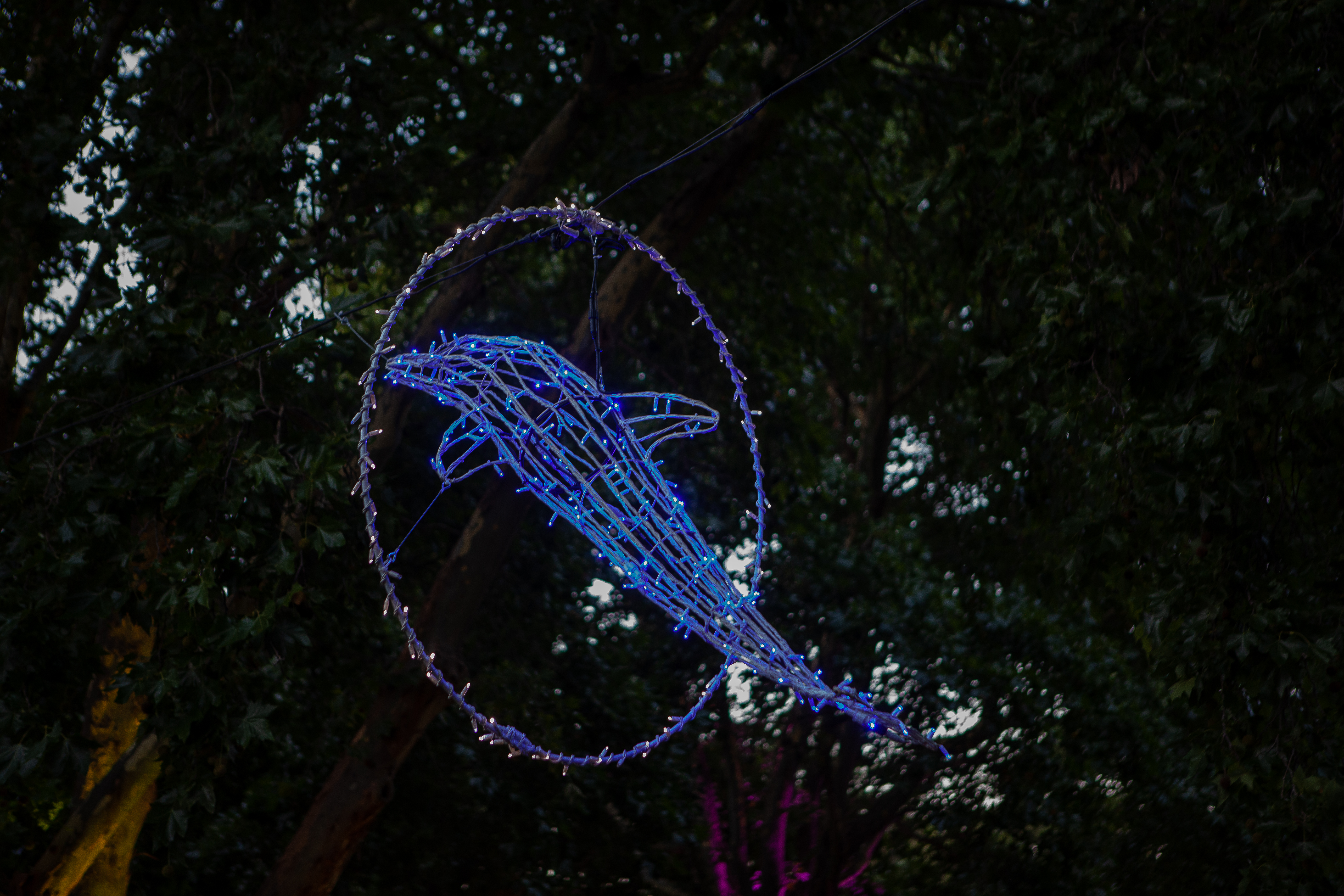 The Festival of Lights, a special documentary, theatre and more — things to do this week in South Africa