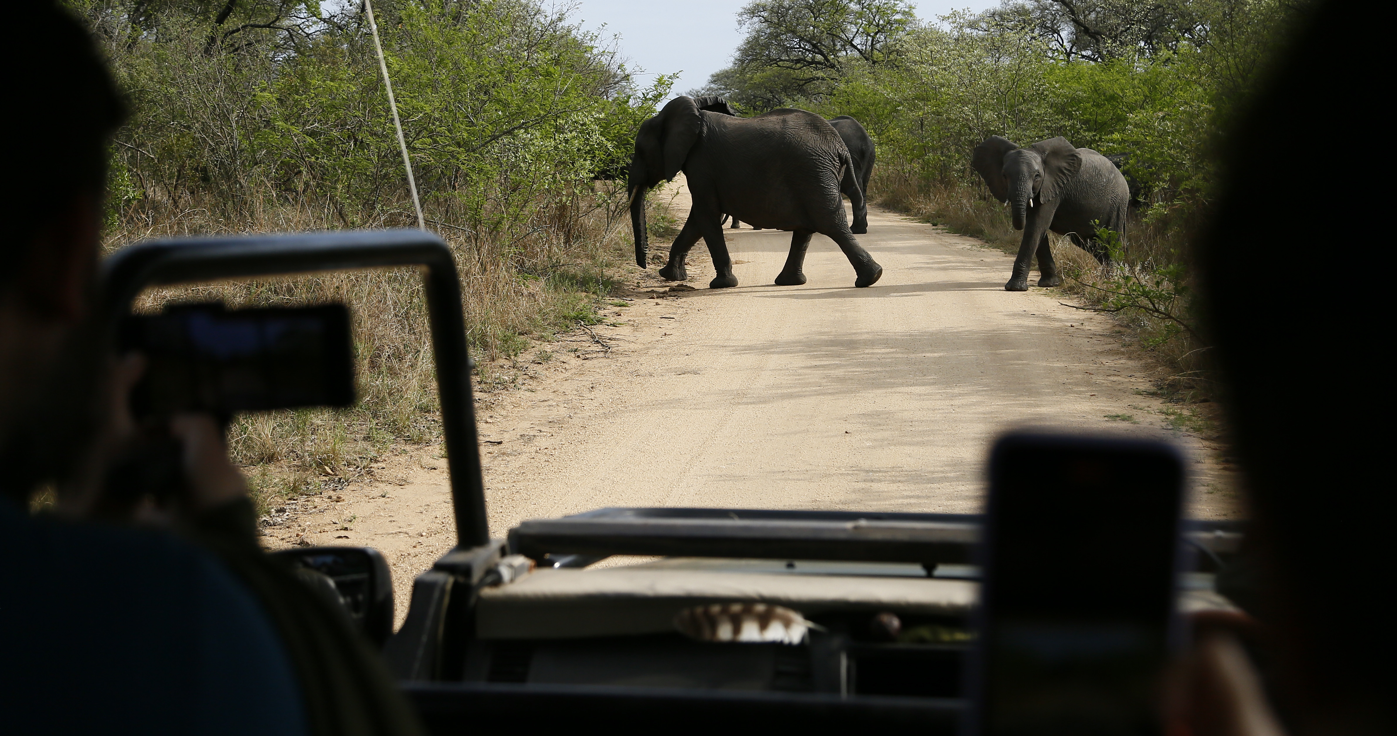 Government trying to slam through plan that will result in massive exploitation of wildlife