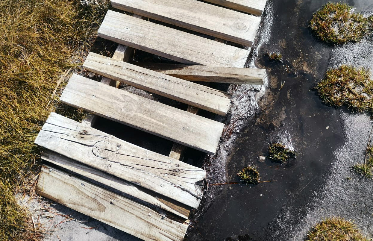 Environment minister Creecy urged to hand over ‘broken’ Table Mountain National Park to City of Cape Town