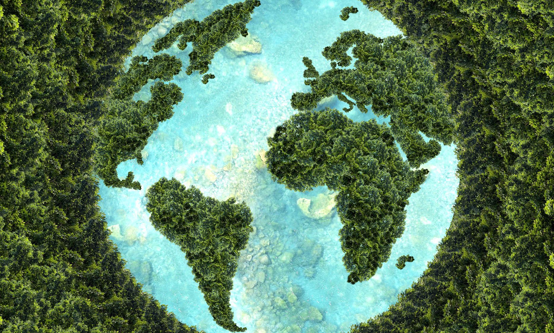 Private sector should up its hand in eradicating biodiversity loss, says UN environment body