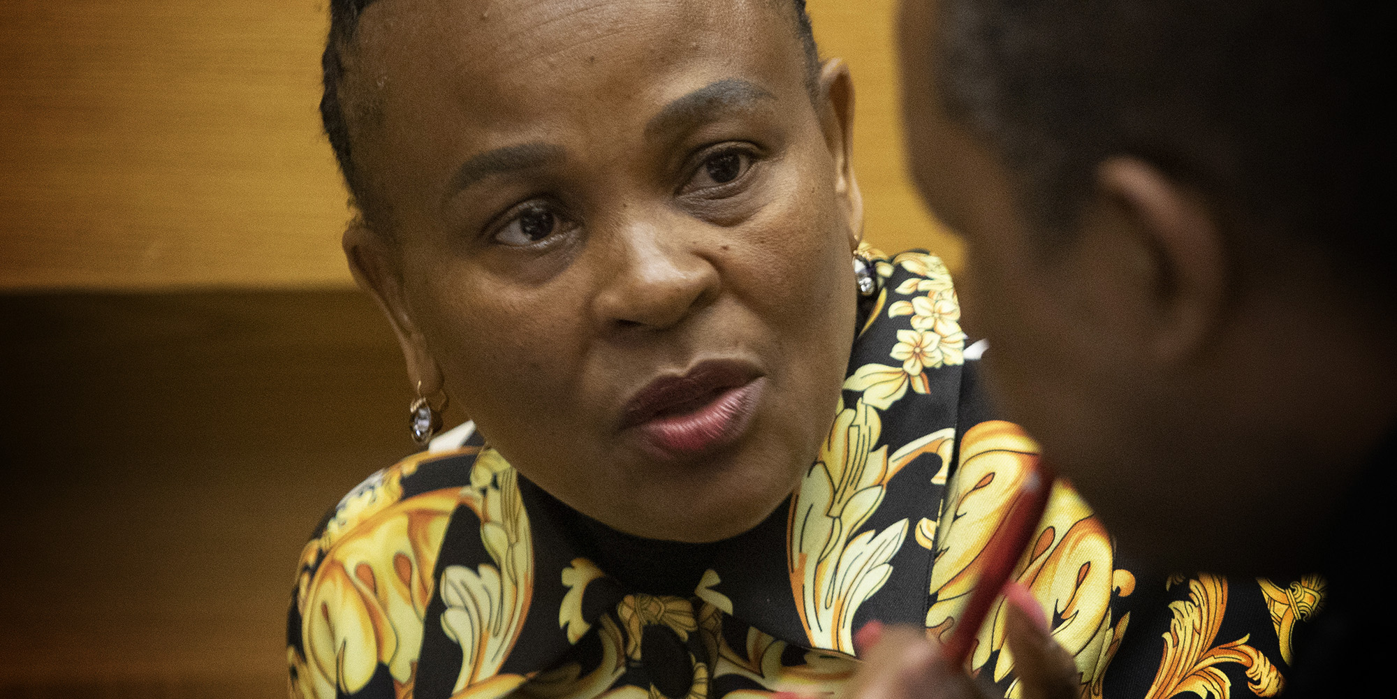 Mkhwebane had only the ‘masses of the poor’ in mind in her bid to alter Constitution — Mpofu