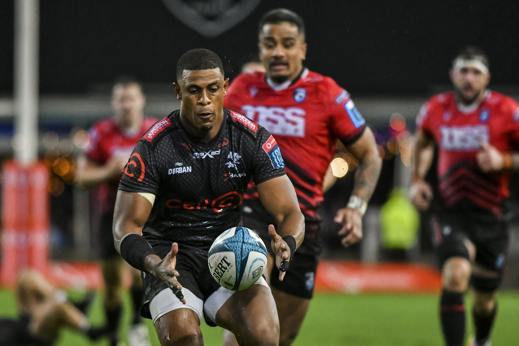 Rudderless Sharks swim in murky water without Springboks