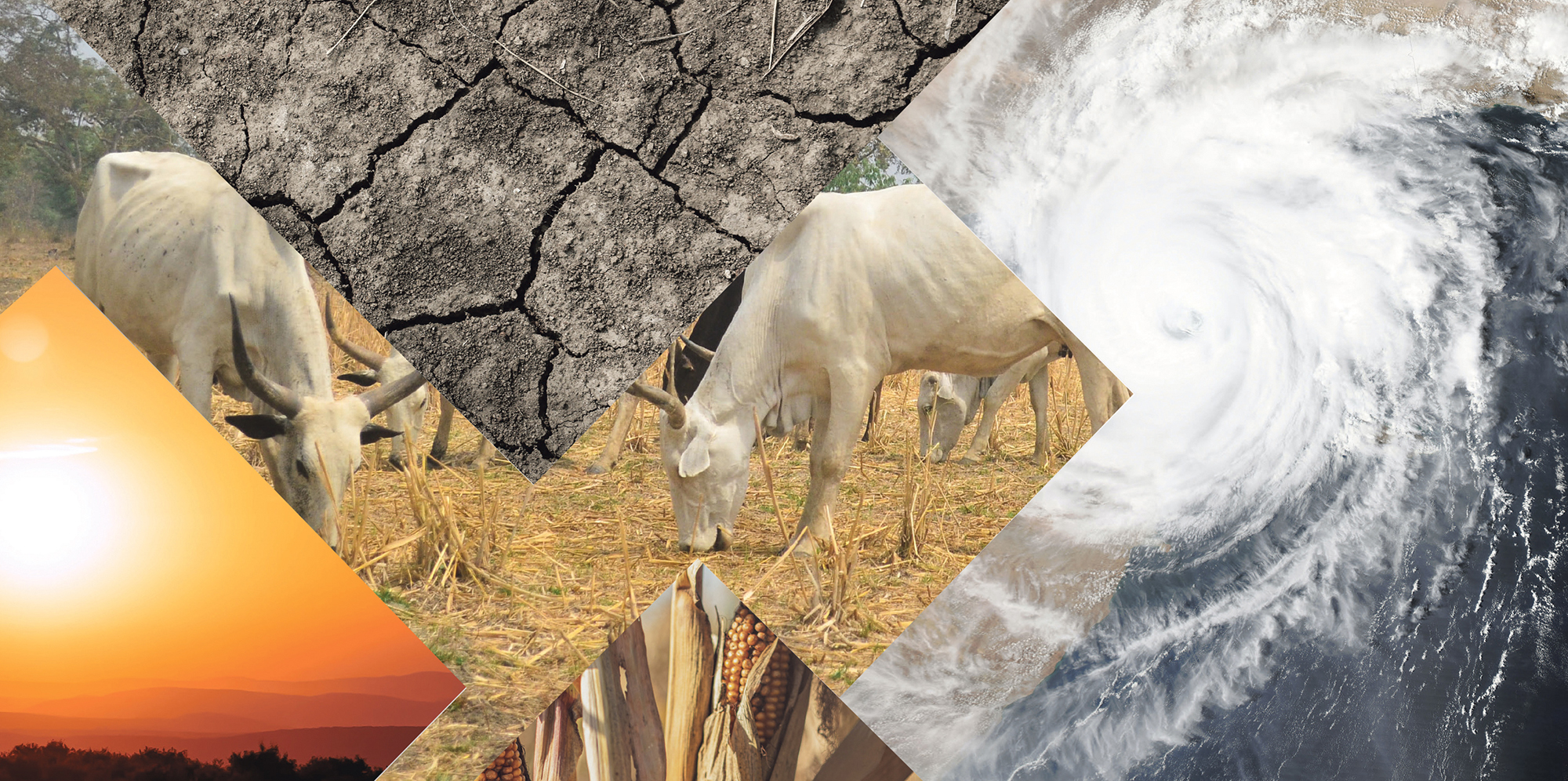 Supercomputer peers into SA’s climate future — and paints a frightening picture