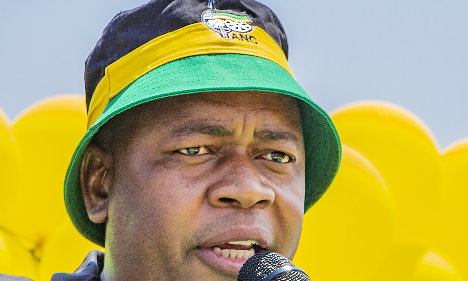 ANC’s Mzwandile Masina berated by his own party, while Julius Malema calls him a ‘spoiled brat’