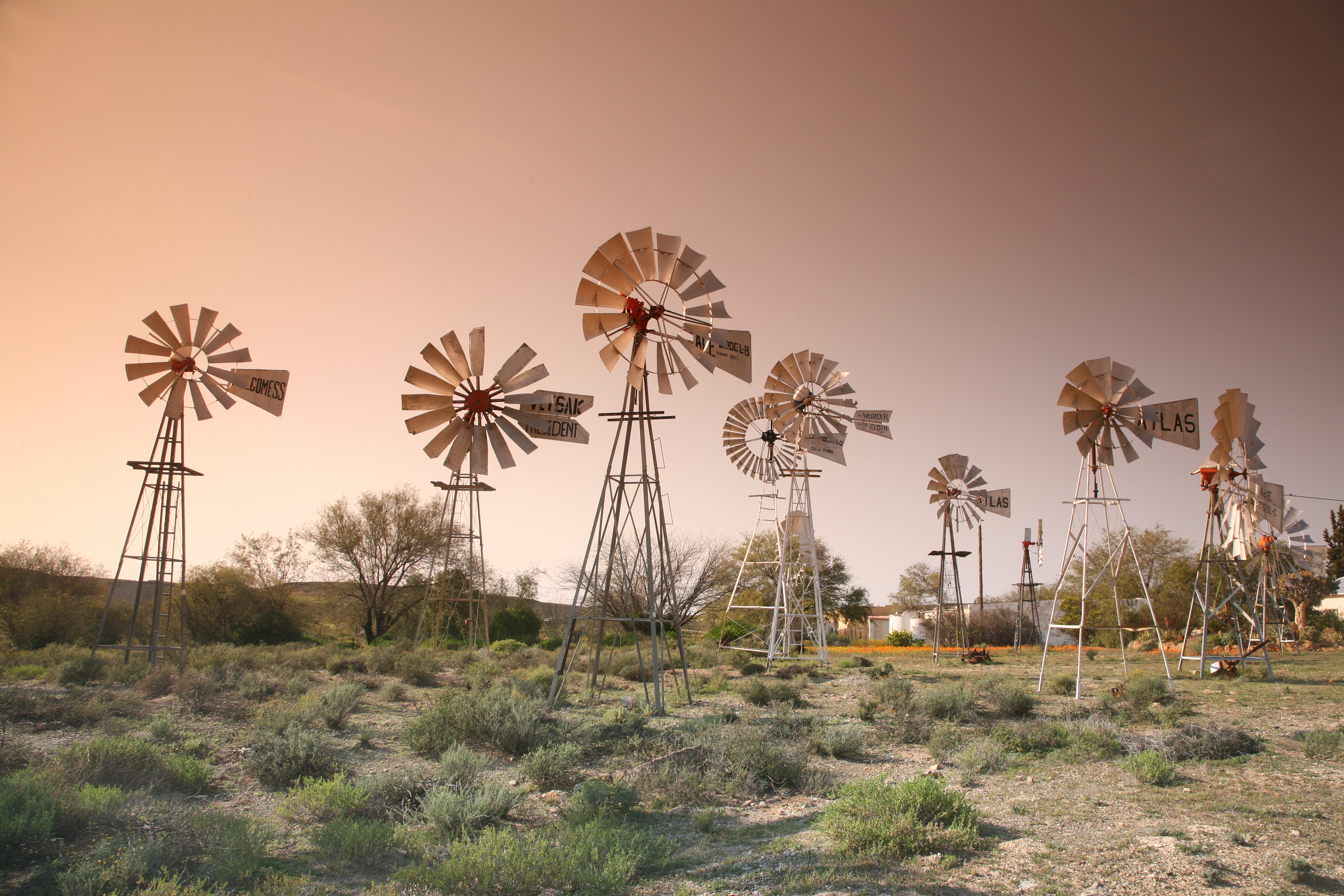 Catch the wind – The meditative magic of a Karoo windpump