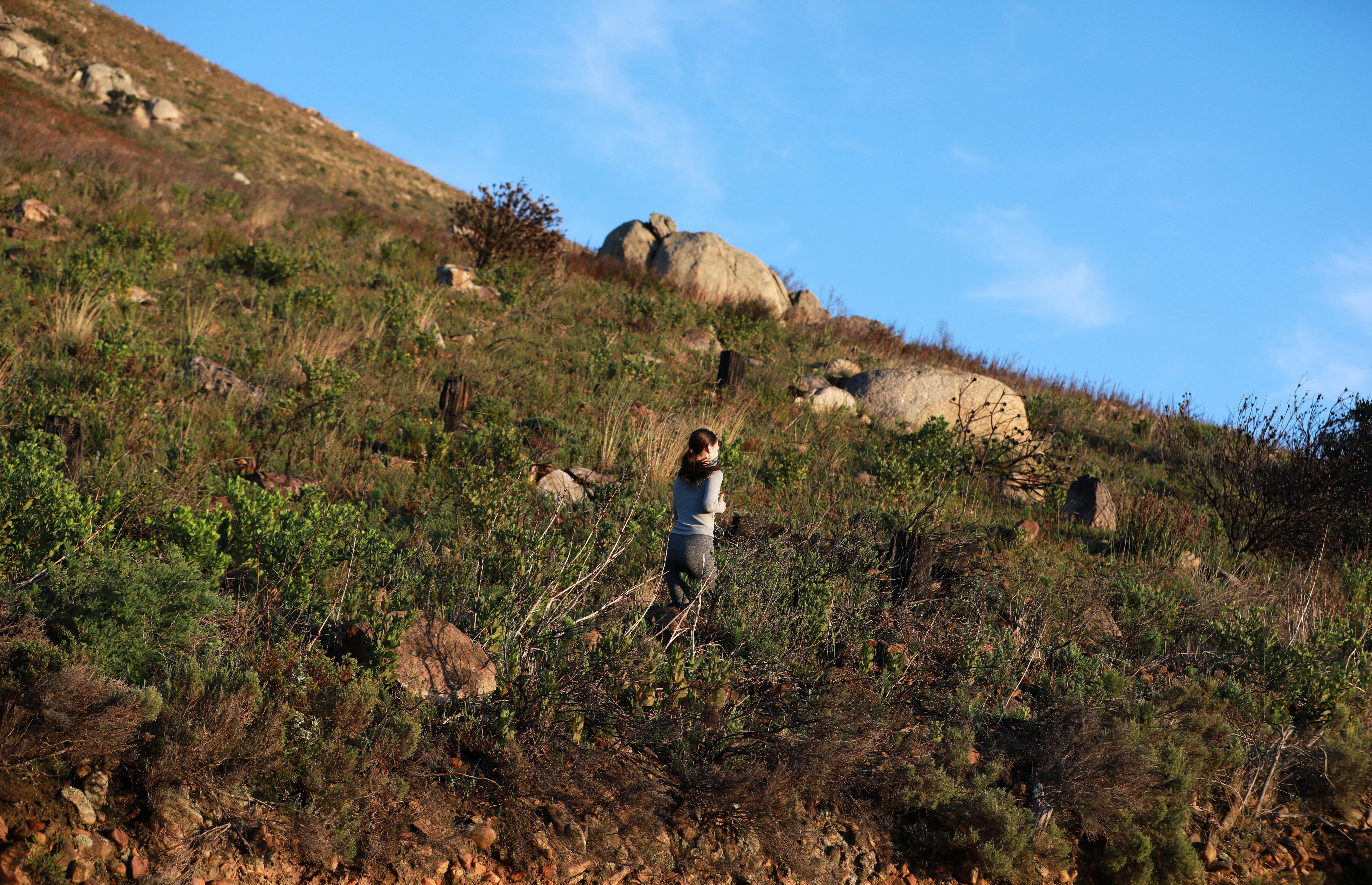 Turning decay into opportunity by embracing ‘neighbourhood nature’