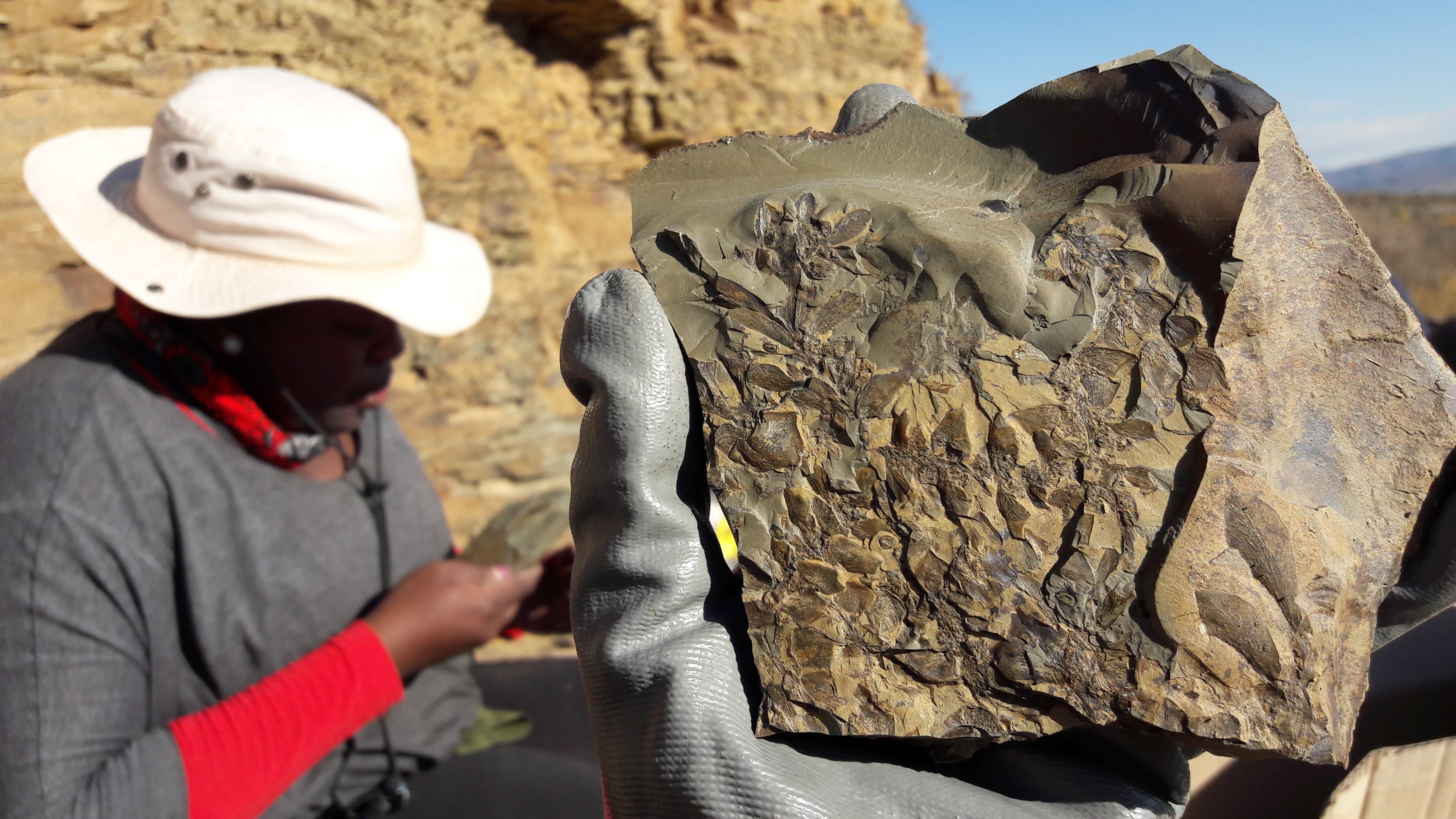 A past buried in the Karoo town of Sutherland holds portents for our survival as a species