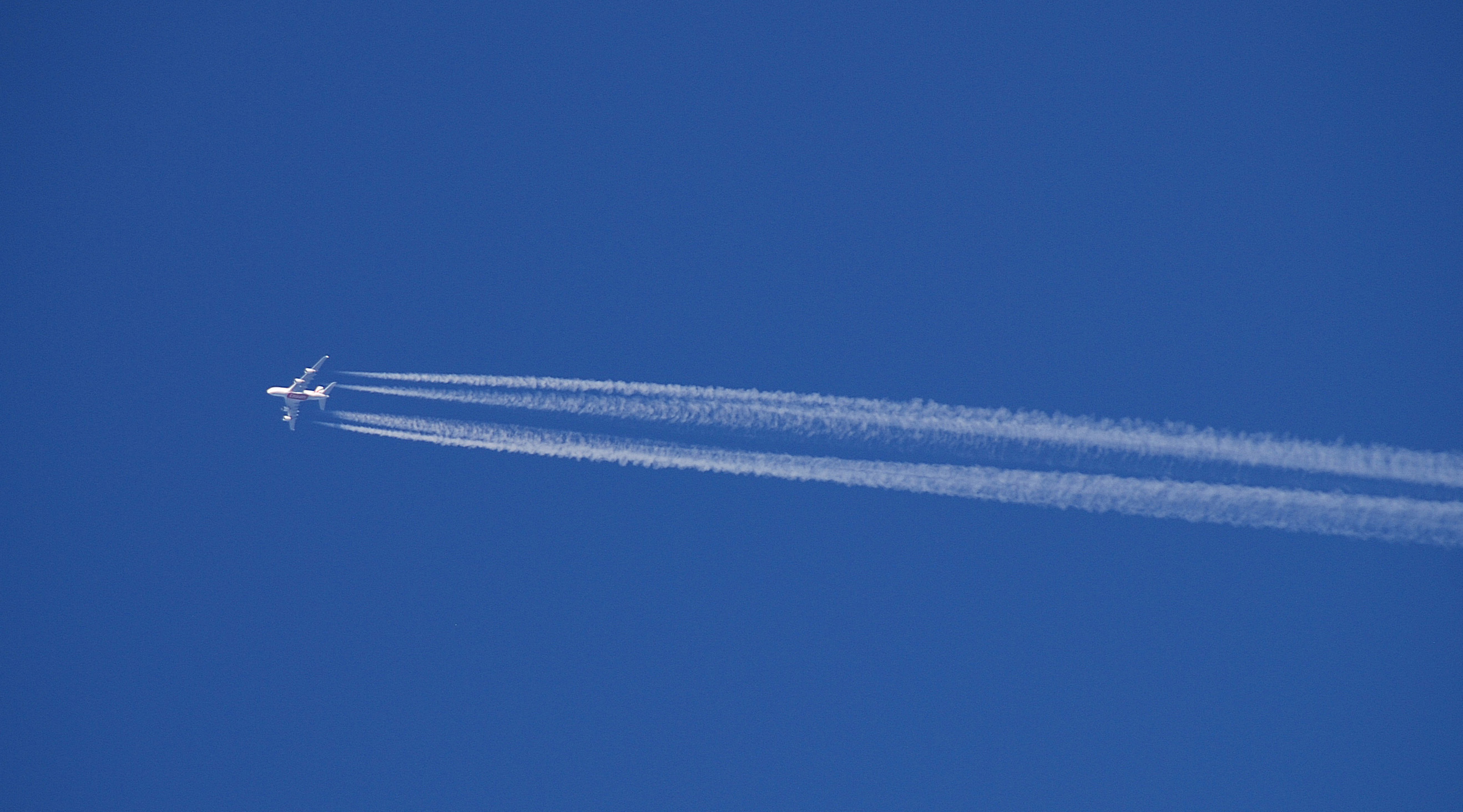 Nigeria scraps Covid-19 tests for international travellers