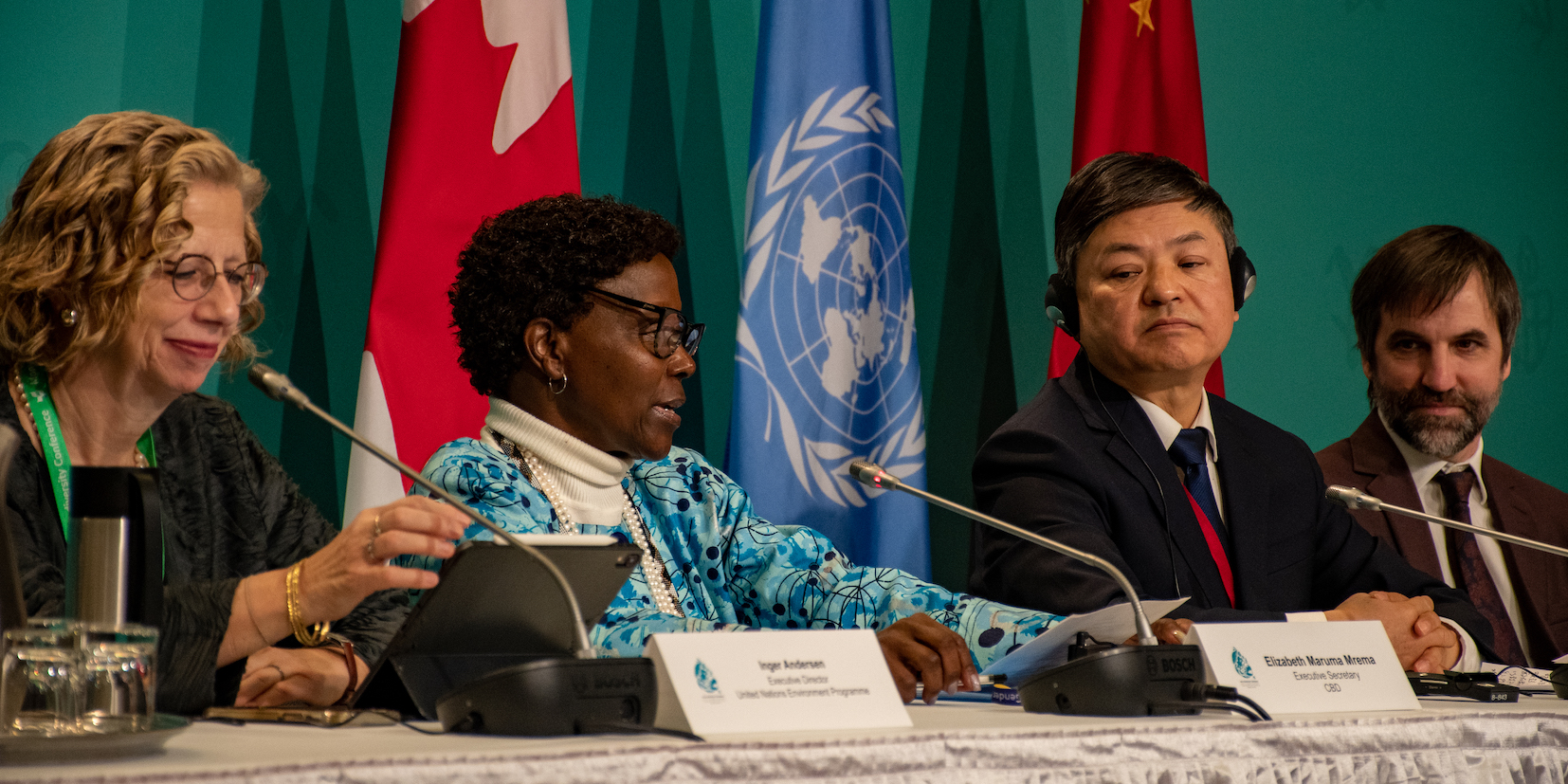 Money’s ‘stretched’ – the North’s argument against a biodiversity fund that prompted South to walk out of talks