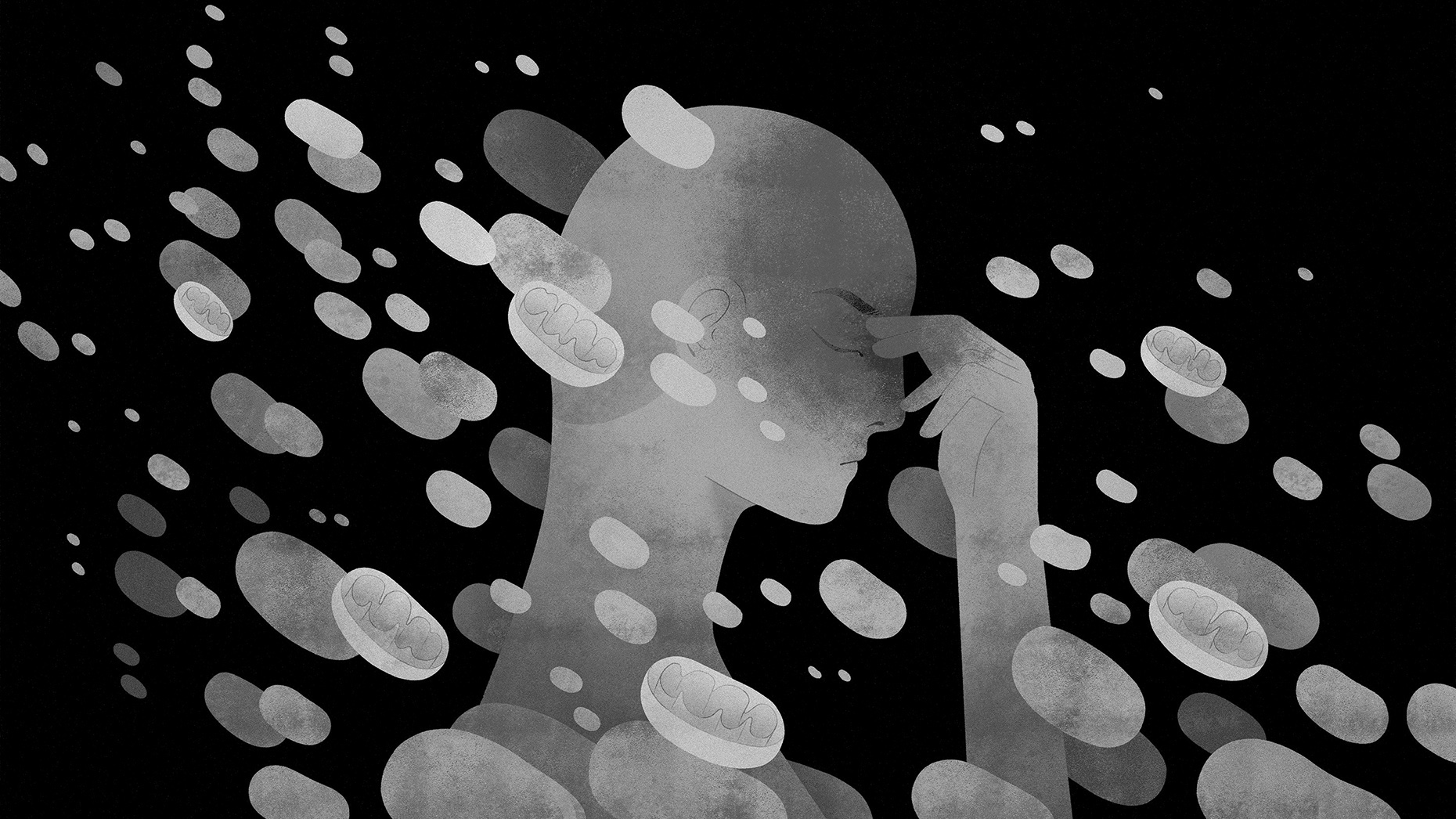 SA women and children targeted by unfounded ‘false rape’ allegations online