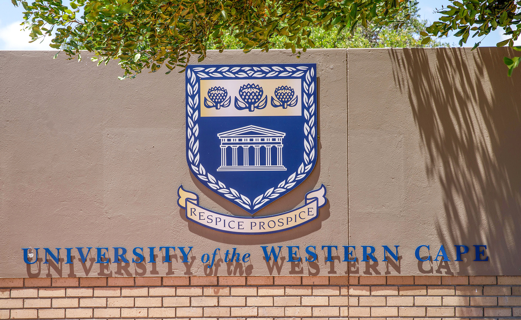 Womxn and Democracy Initiative yet another NGO lost to lack of funding