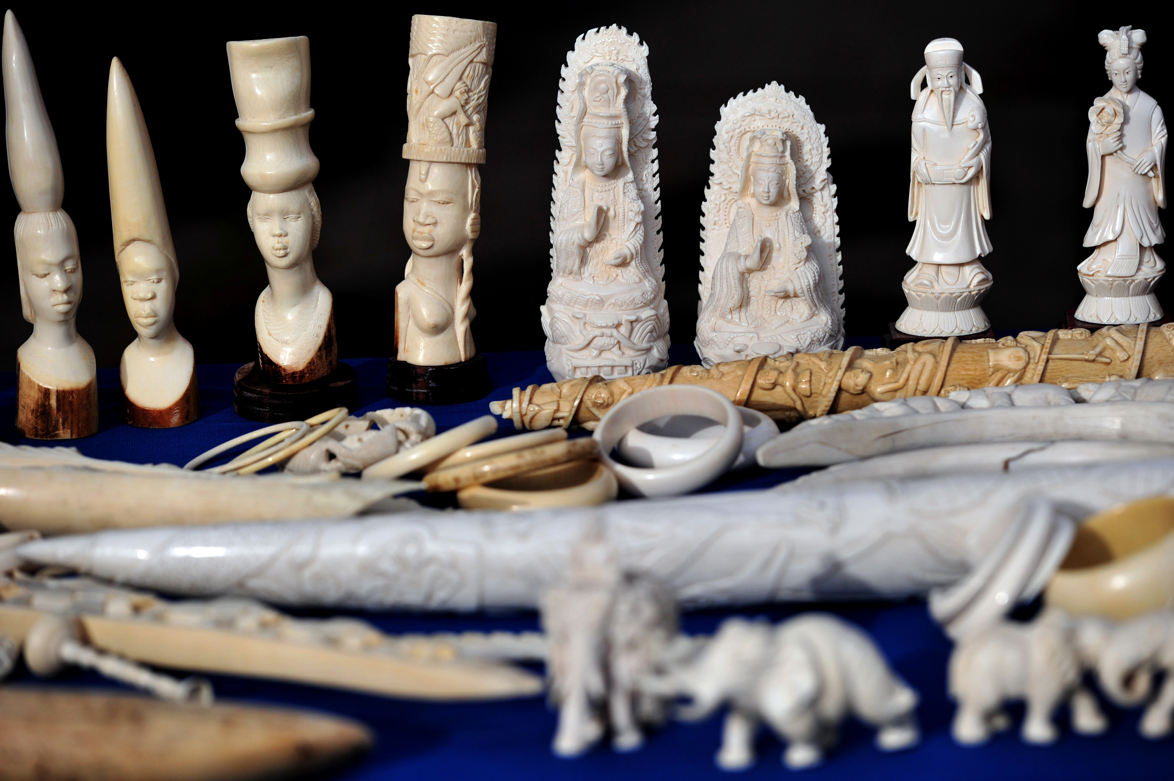 The sad truth is, most humans don’t give a damn about nature