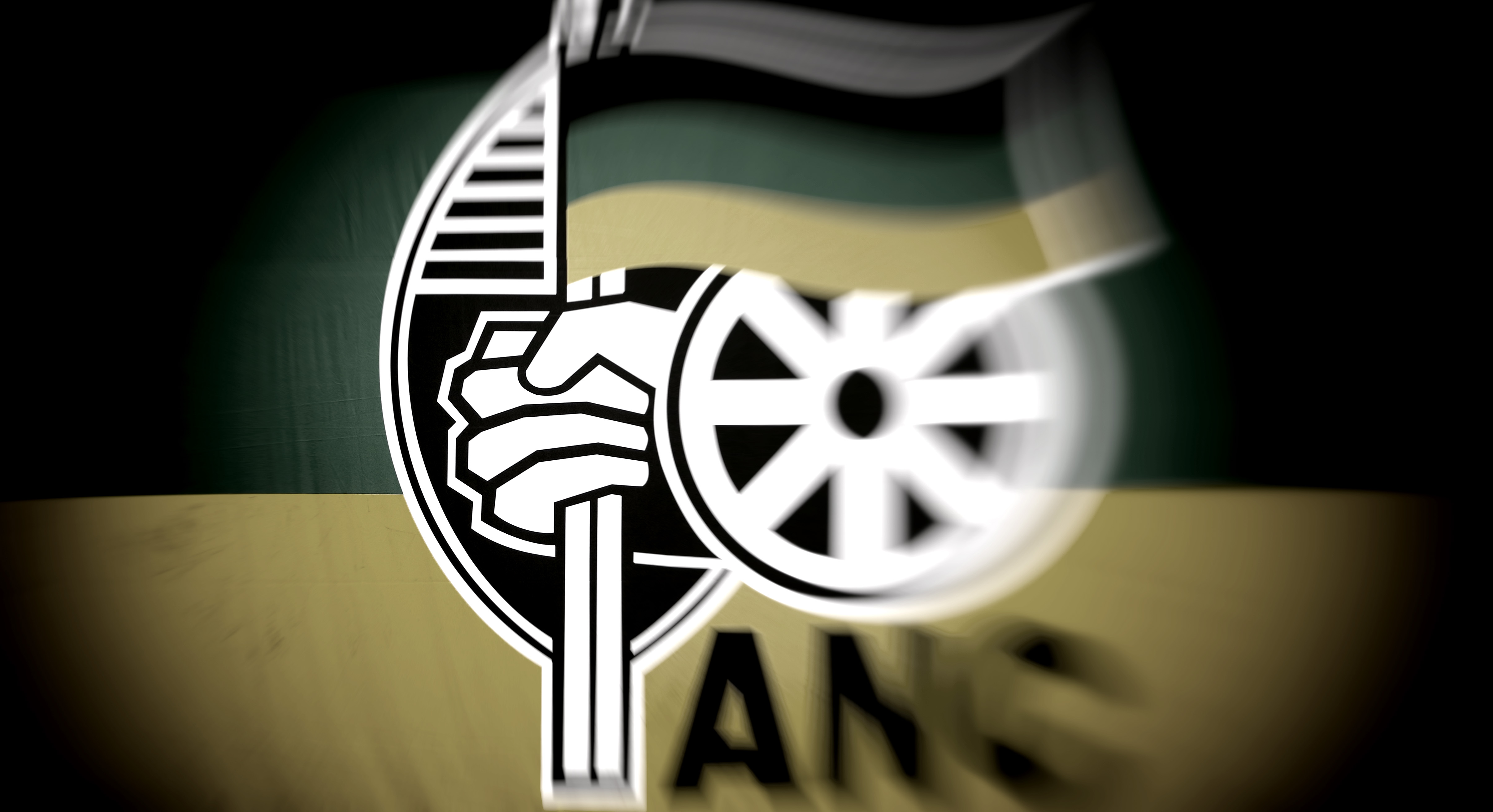 Gauteng ANC divided between Ramaphosa, Mkhize for party president