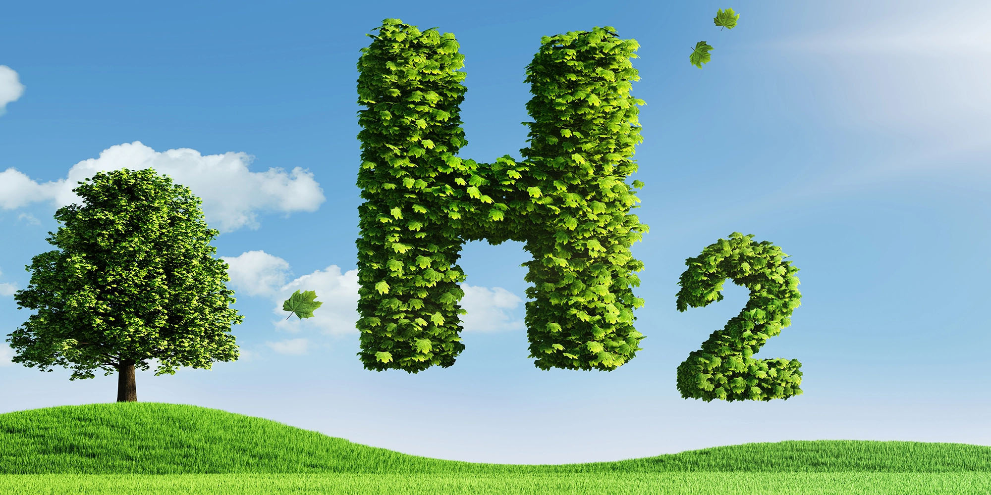 The green hydrogen frontier – neocolonialism, greenwashing or just transition?