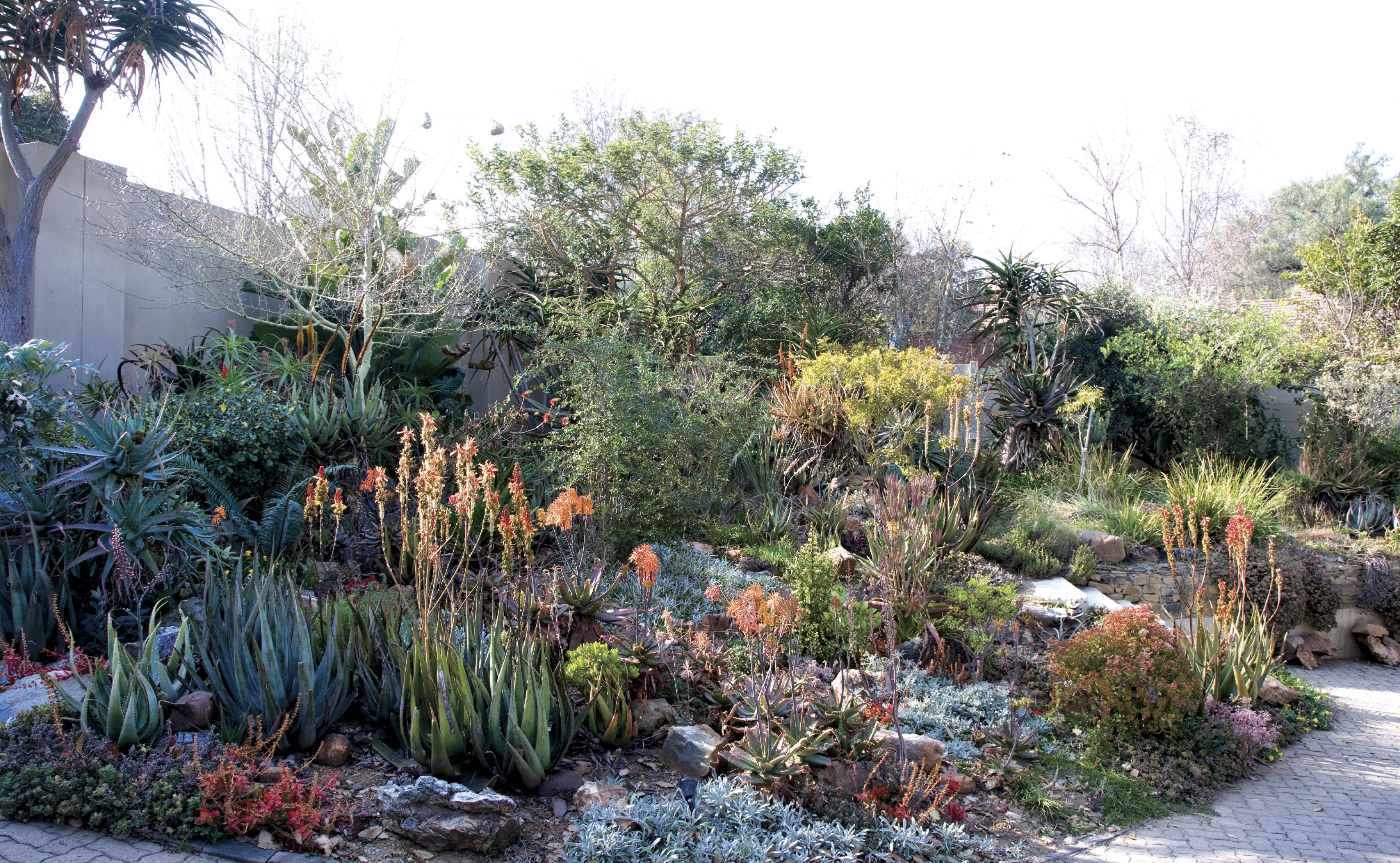 This summer, bring nature to your living space and create a festive garden