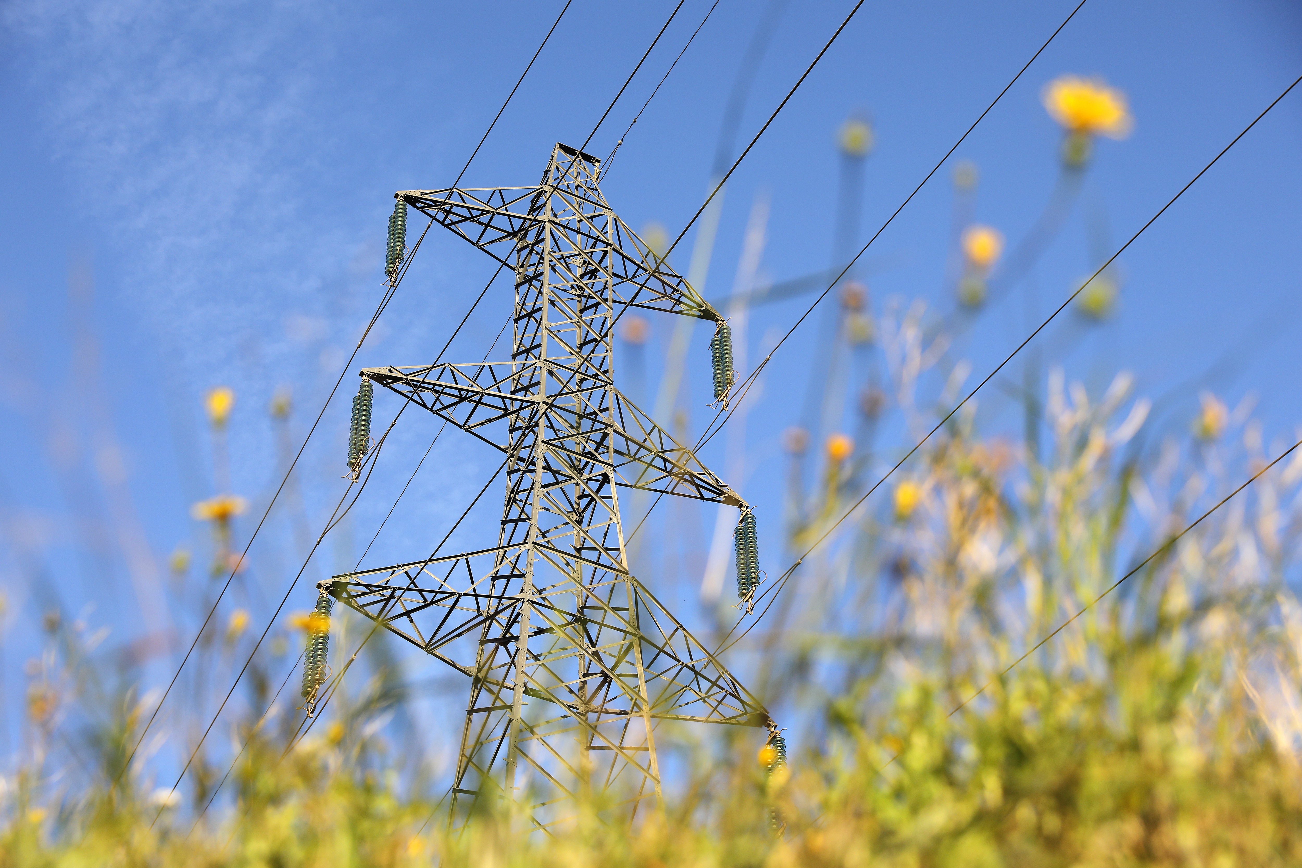 High-tension electricity power line