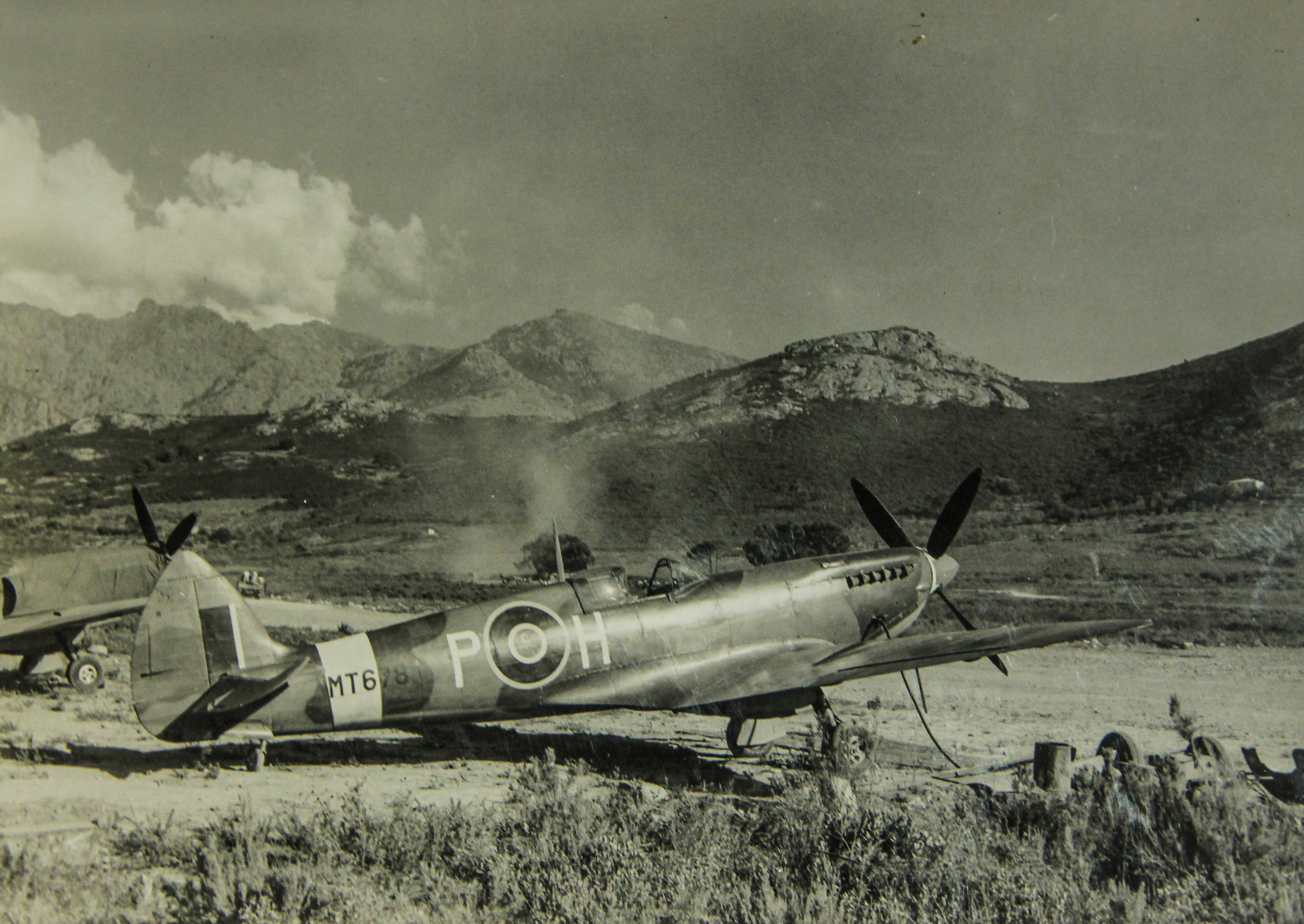 Flying Ace of the Karoo