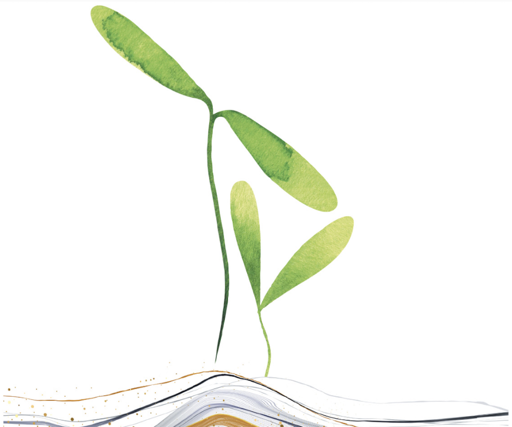 In a time of rebirth, renewal and resolutions, be like a snake