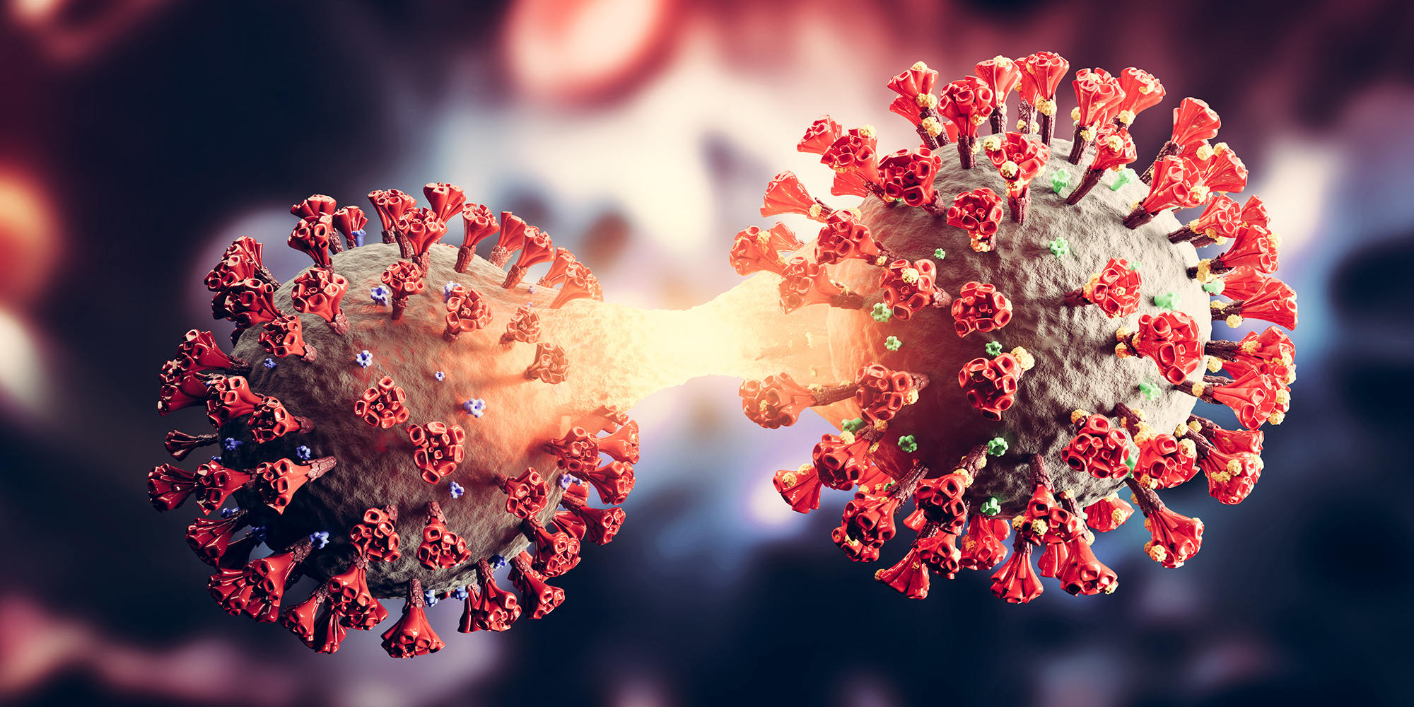 Fifteen more cases of Covid-19 ‘Kraken’ subvariant detected in South Africa