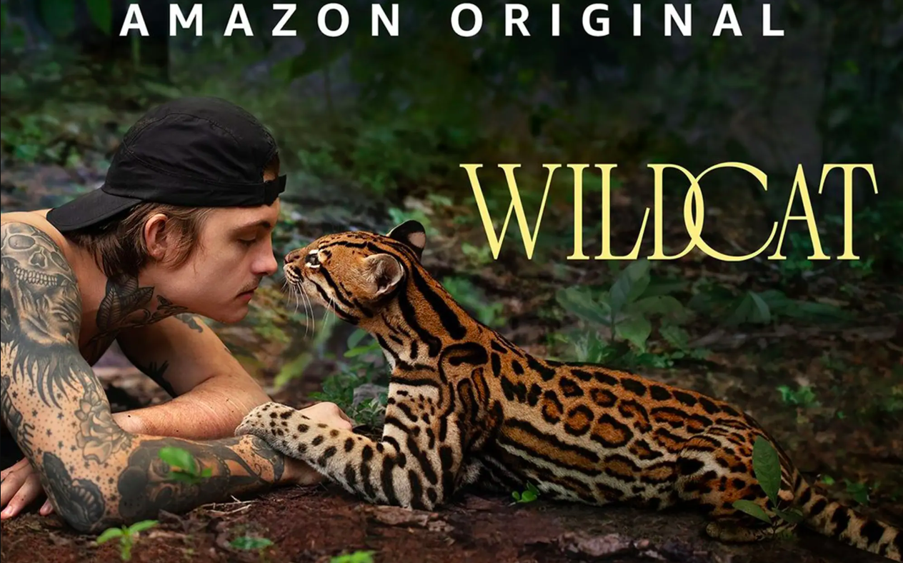 Wildcat review: rehabilitating a soldier and a jungle cat