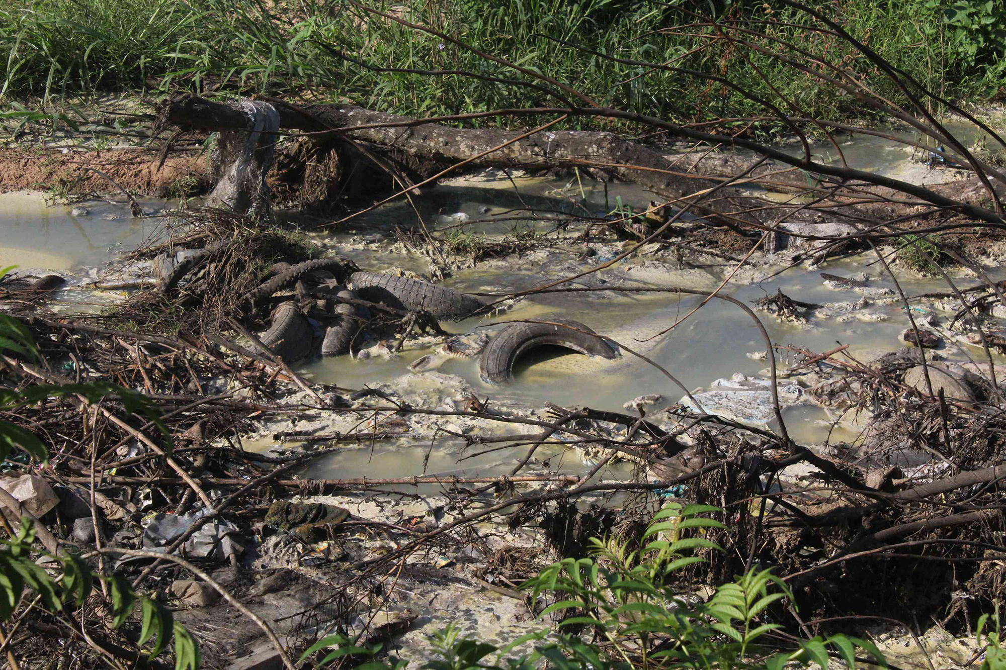 Raising a stink: Government departments blame Durban officials for slow response to sewage crisis