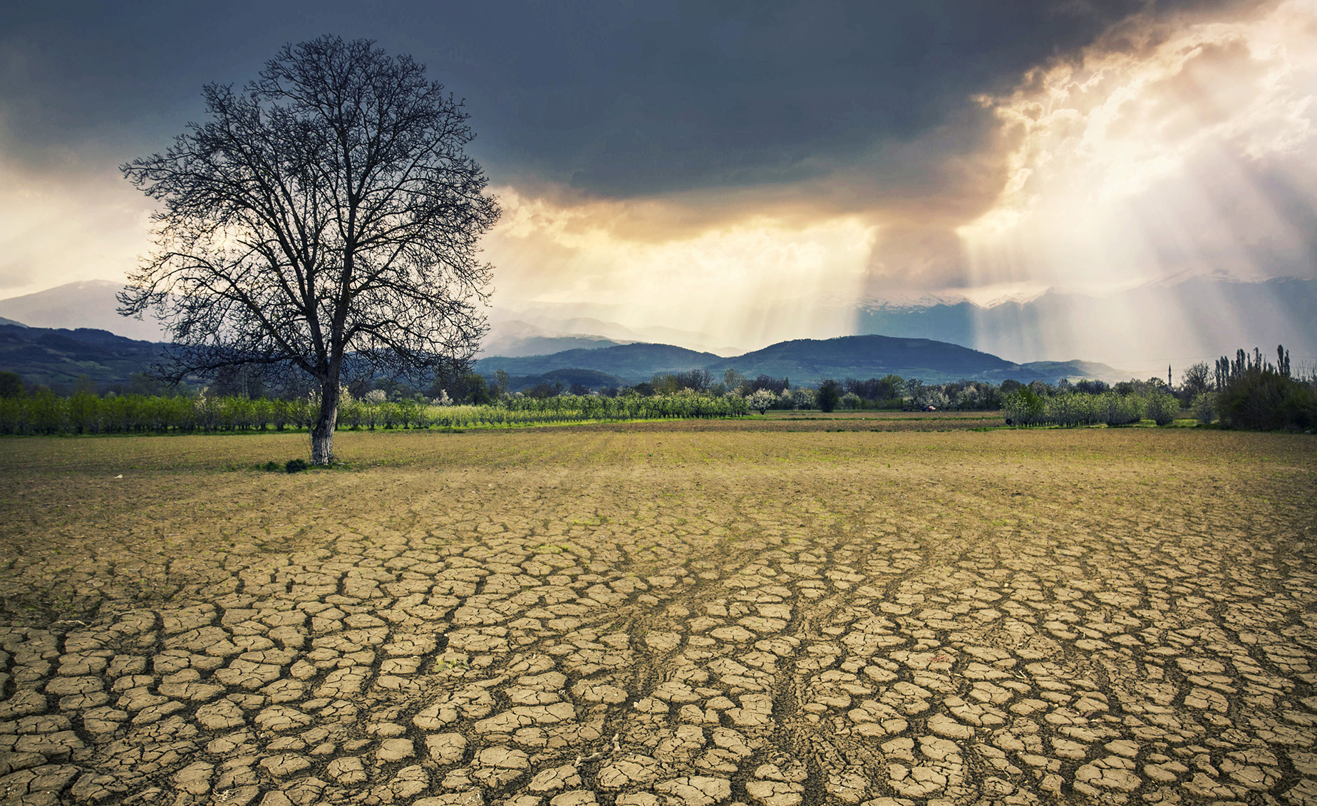 The climate crisis will not be resolved by the capitalist class — it’s either eco-socialism or extinction