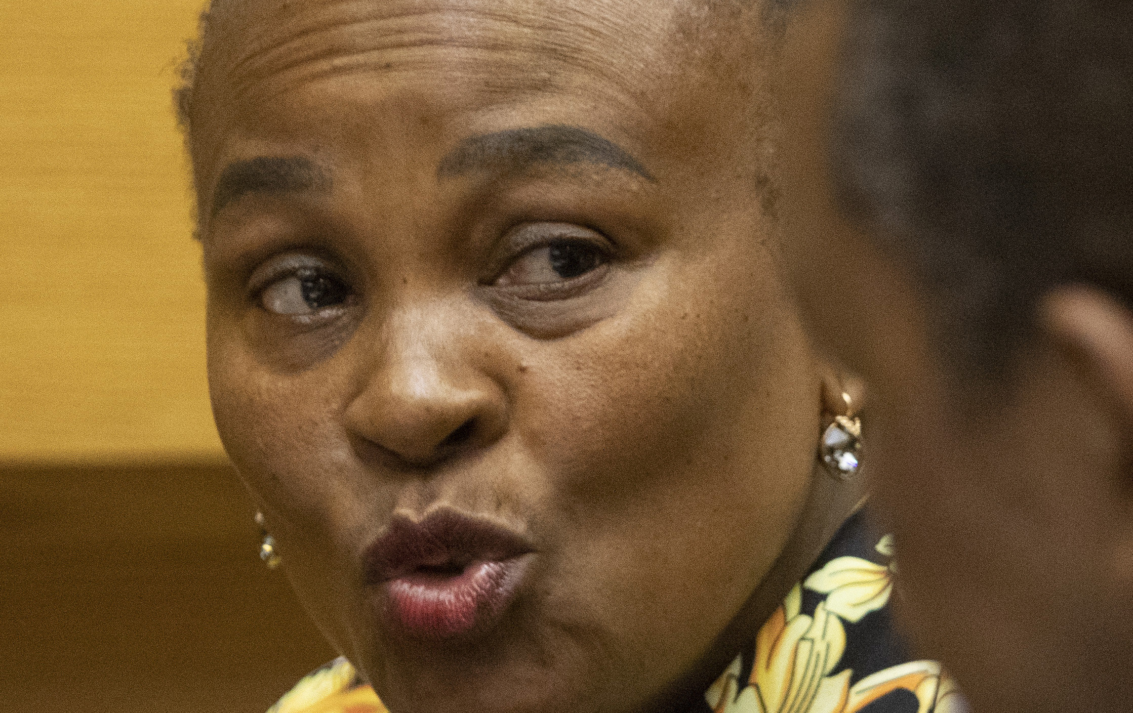 Mkhwebane called Pravin Gordhan ‘a threat to democracy’, and other bombshells at Public Protector impeachment hearing