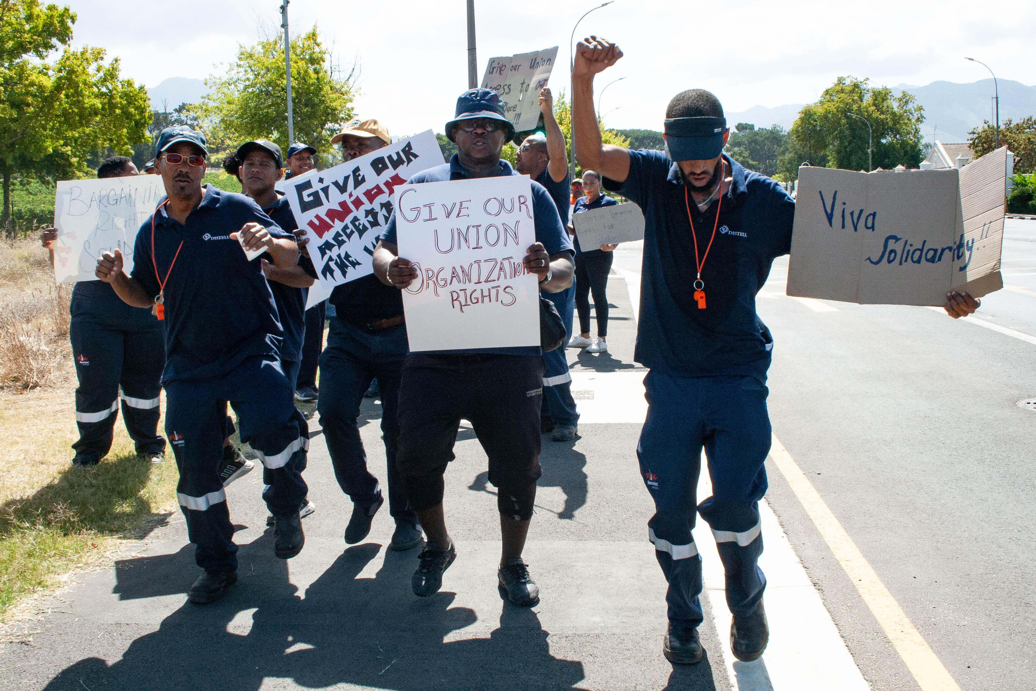 Distell workers down tools and picket over union recognition refusal