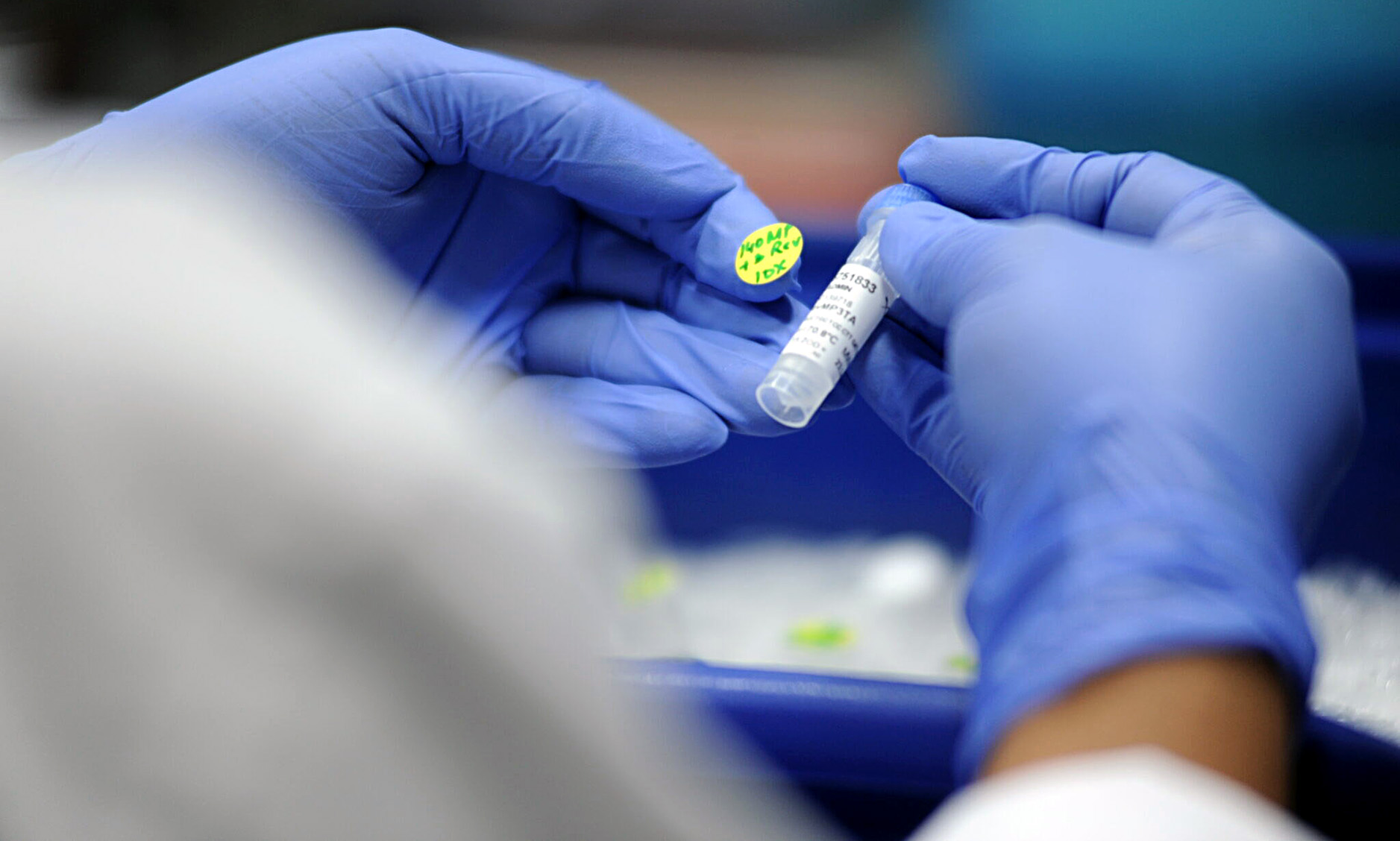 Viral variants — we unpack the mutation differences between HIV and Sars-CoV-2