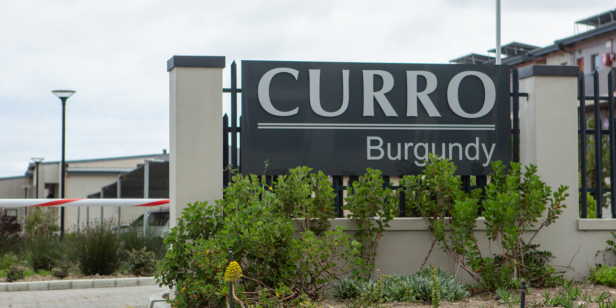 Curro’s star keeps rising as private school group posts healthy results