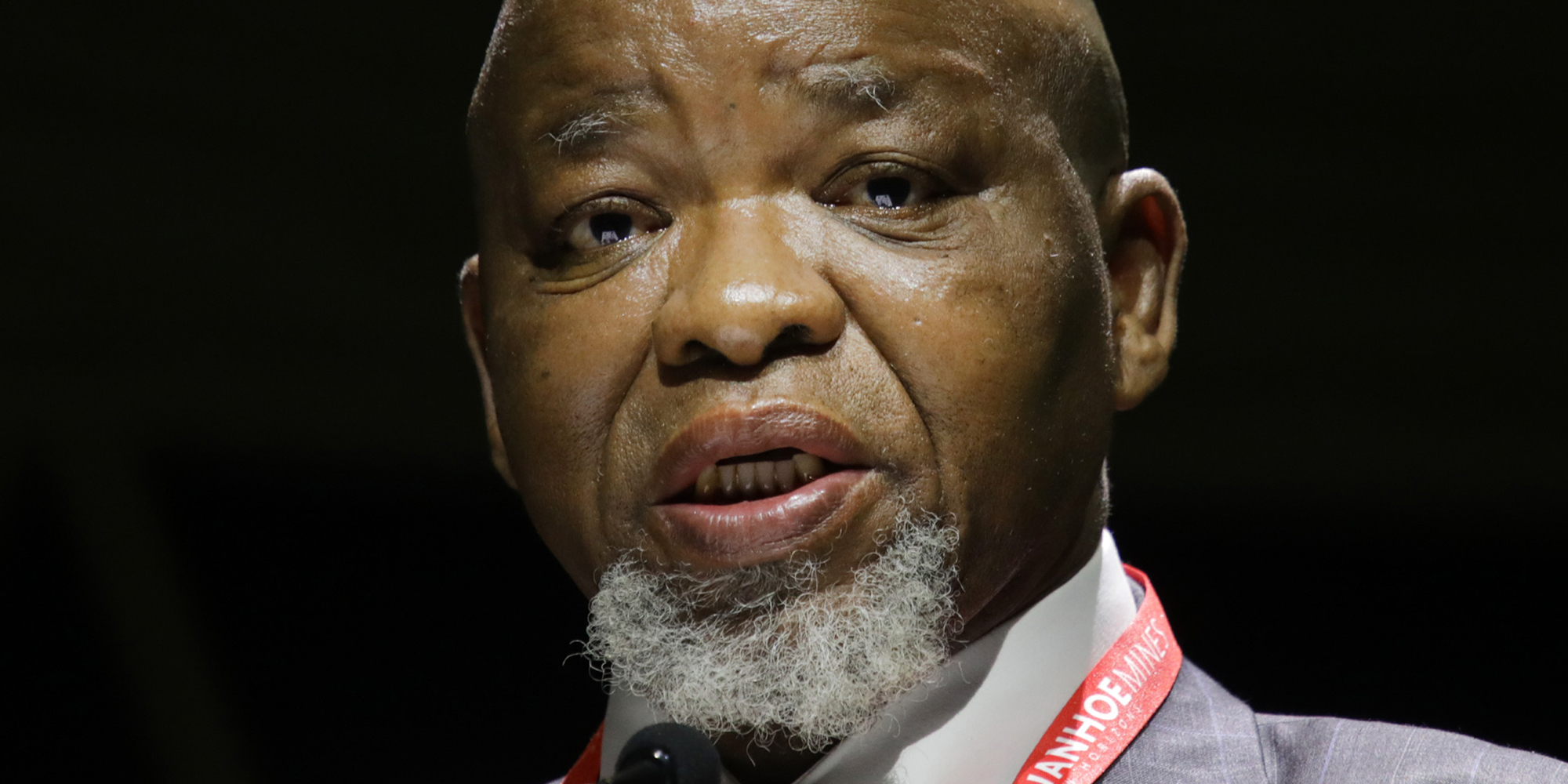 Mantashe warns against ‘encirclement’ by developed countries, chides environmental activists