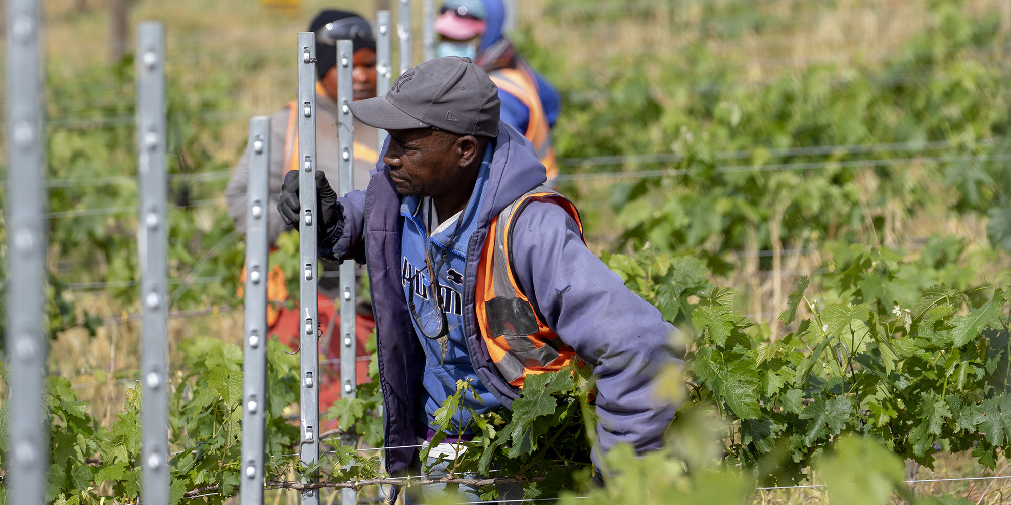 Agriculture business confidence wilts in first quarter of 2023 to lowest level in three years