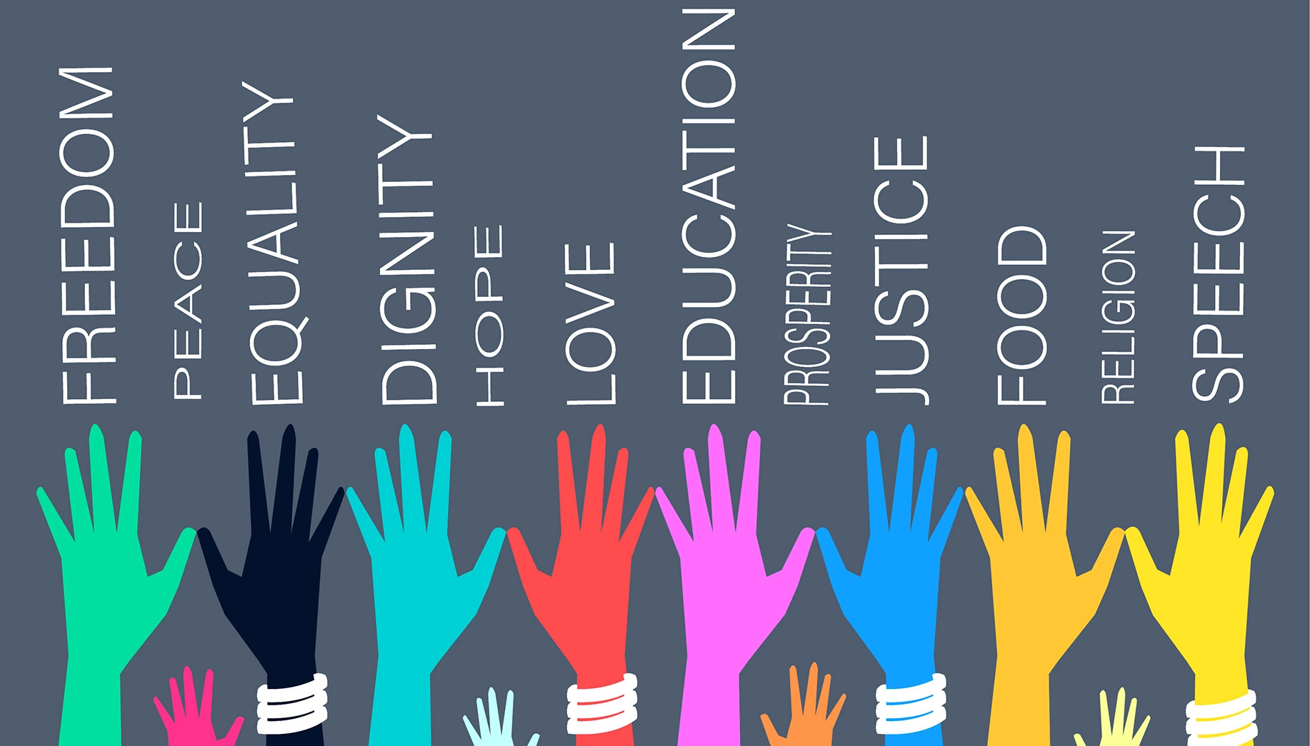 This week – Human Rights Day, Constitution Hill festival and talk on undoing epistemic injustice in health