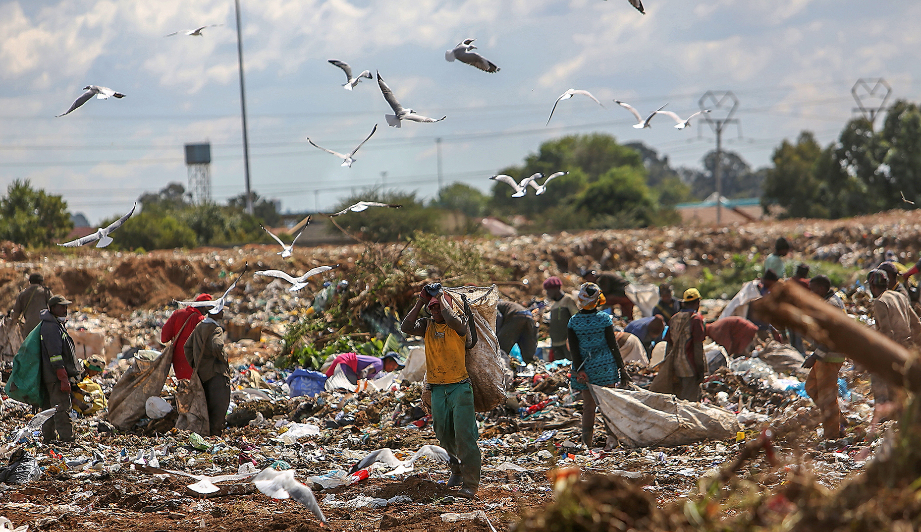 This week – Launch of Lancet series on health over profits, International Day of Zero Waste and talk on black activism