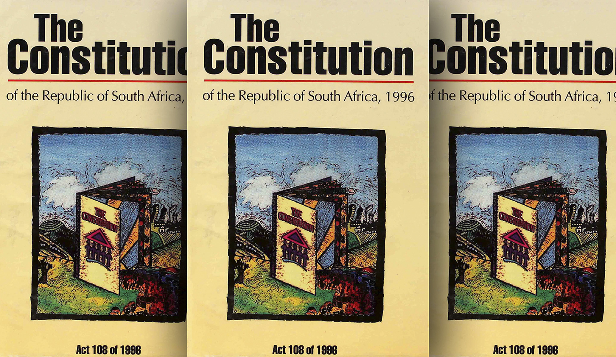 We need to seize our power through the Constitution – it is our recourse in the face of injustice