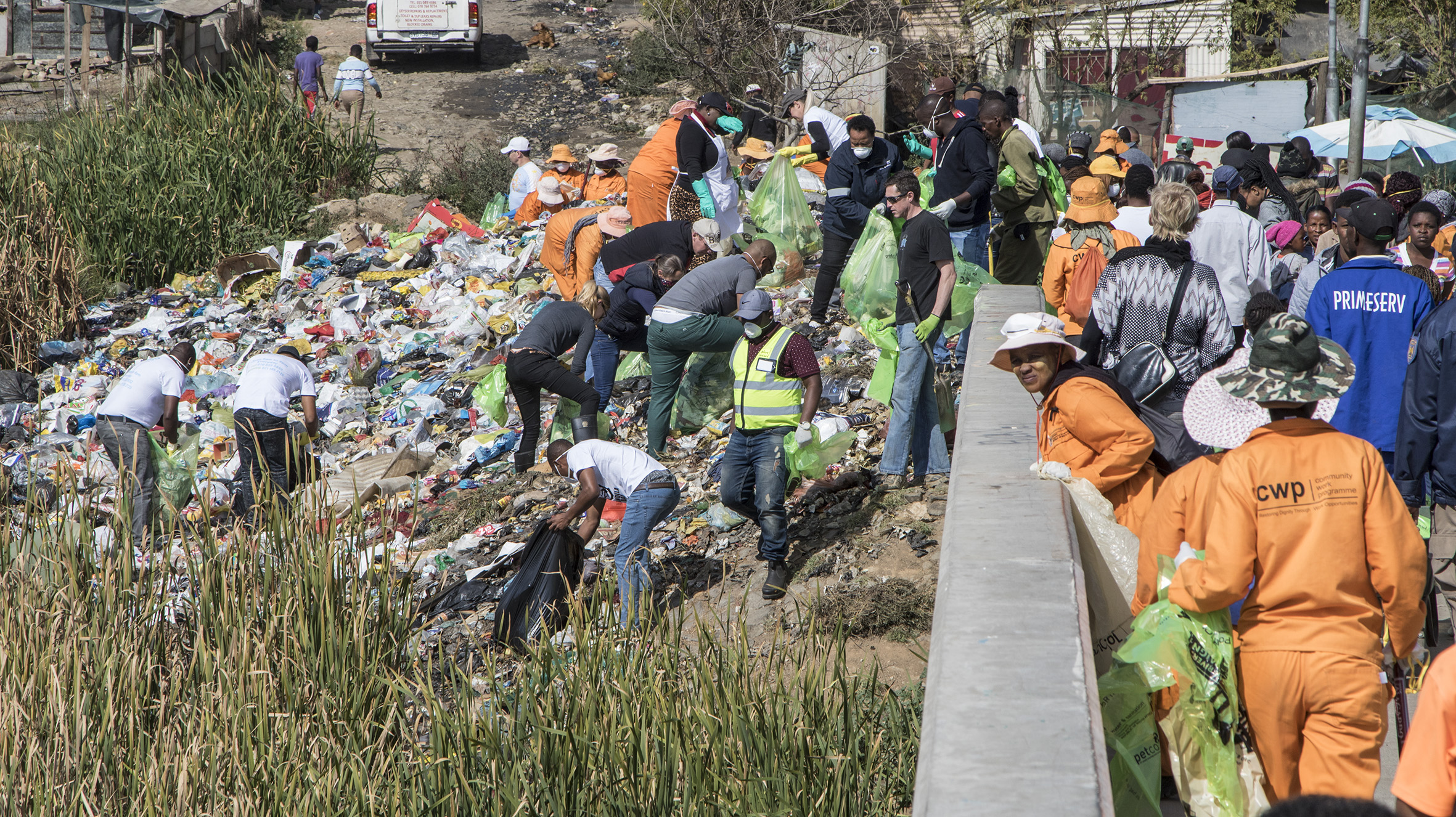 Environmental activists are taking up the slack left by the government