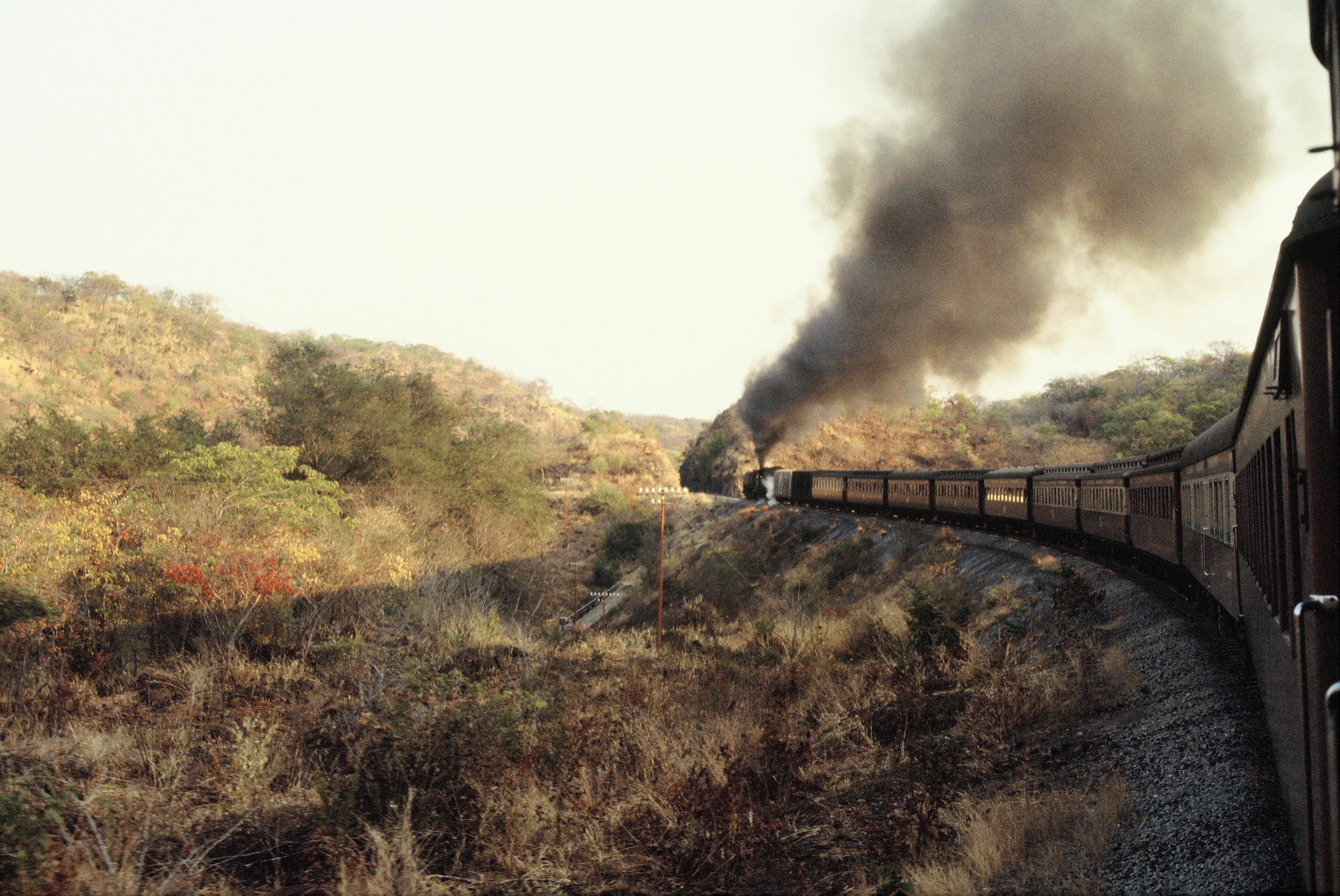 A profound homesickness, for Africa