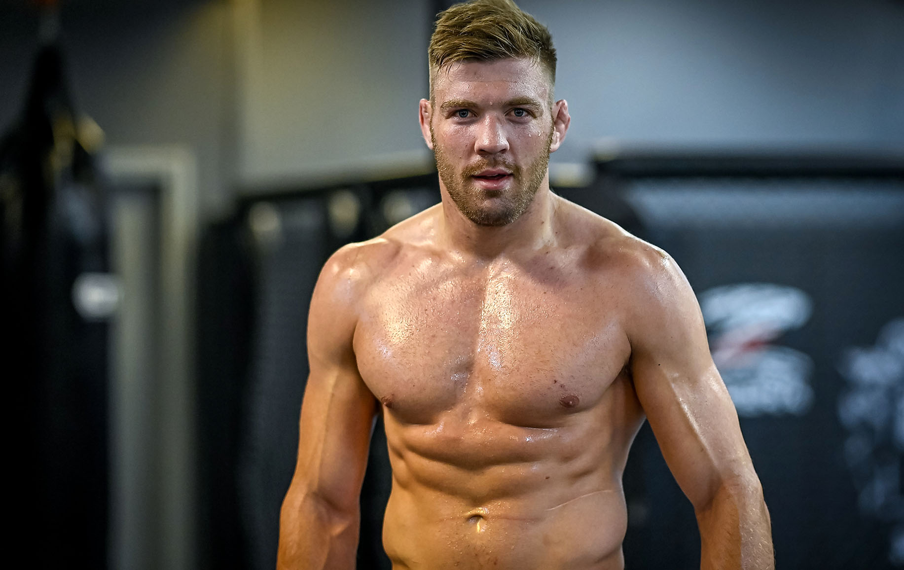 Springboks rally behind Dricus du Plessis as middleweight history beckons for undefeated UFC star