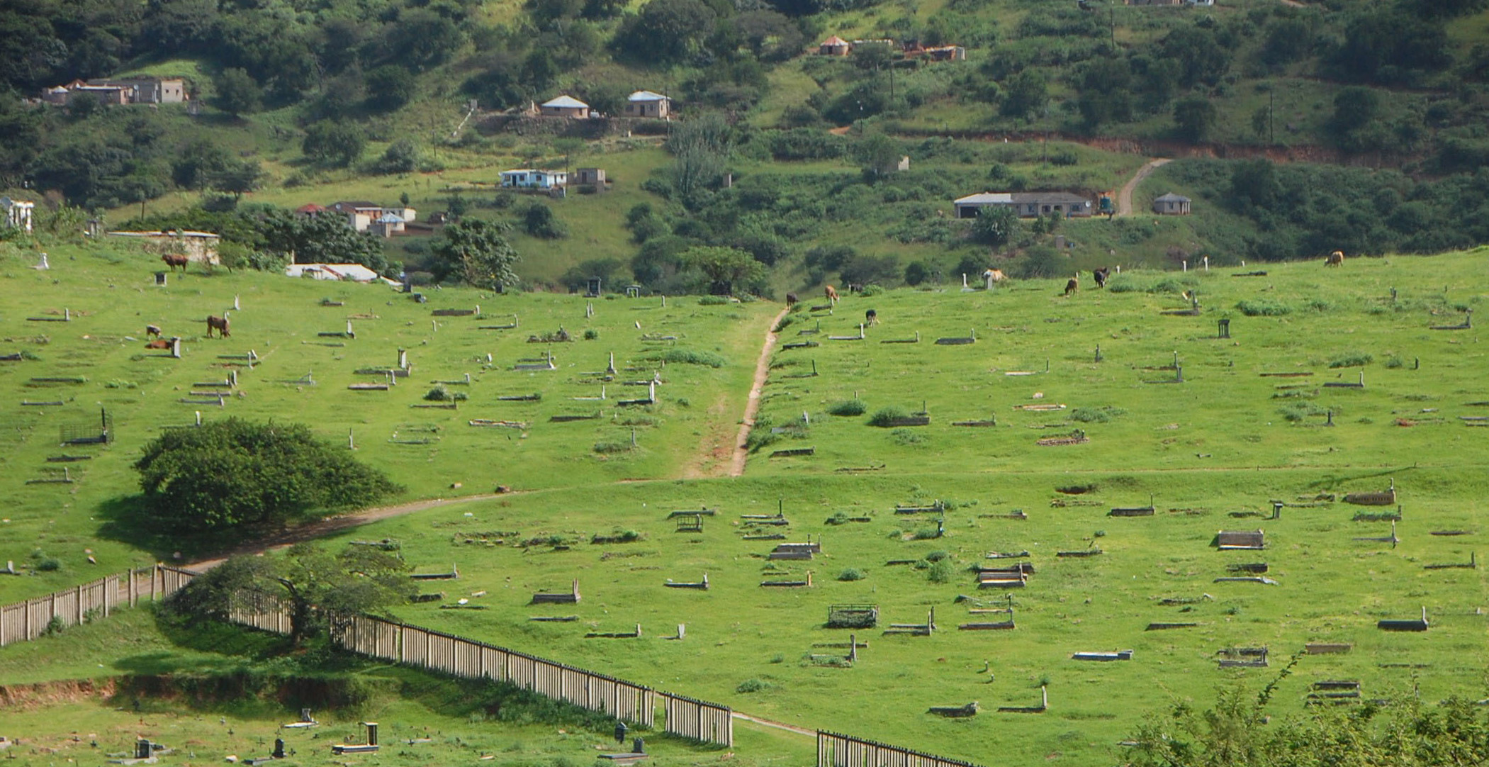 How blackouts compound the trauma of the bereaved and batter the funeral industry