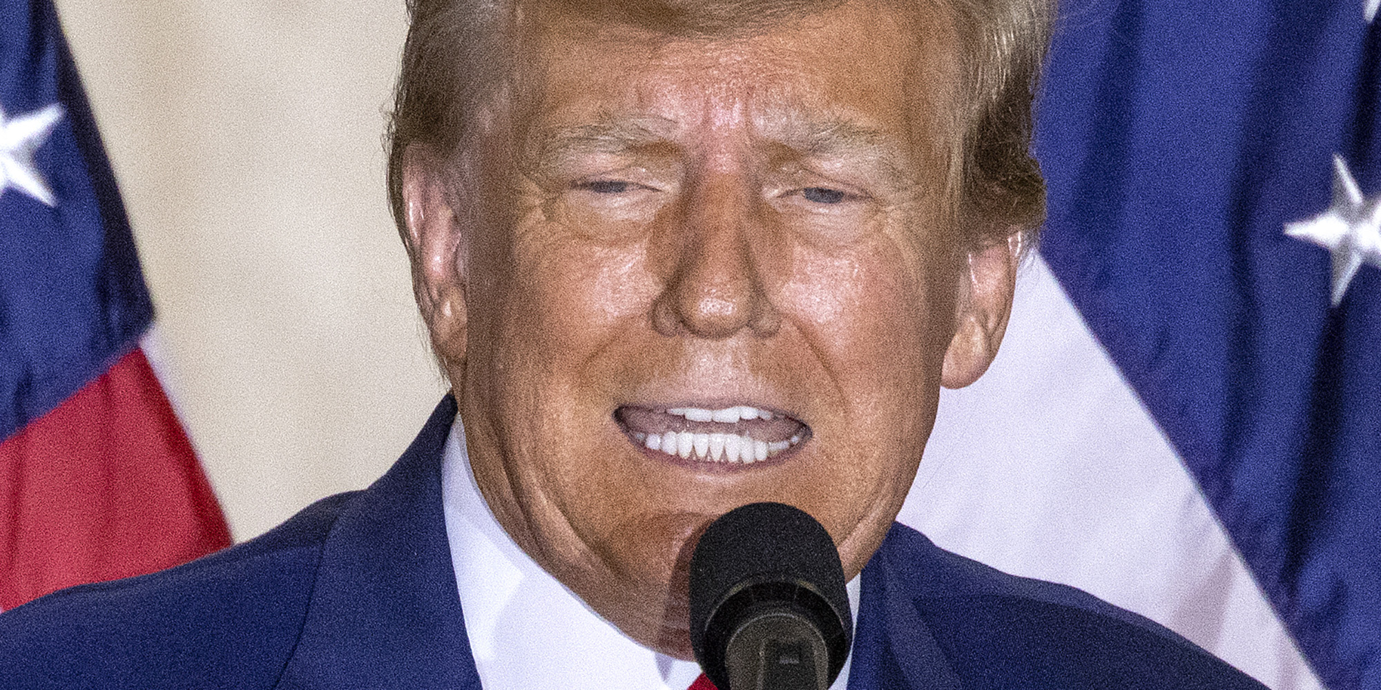 Brooks-Trump the skunk