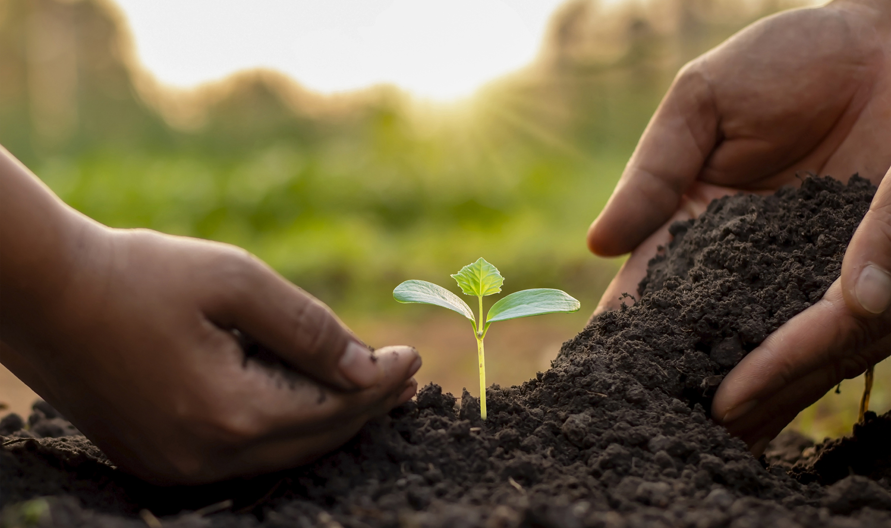 This week — Launch of Rise Mzansi as a ‘political alternative’, International Mother Earth Day and talk on SA’s food system