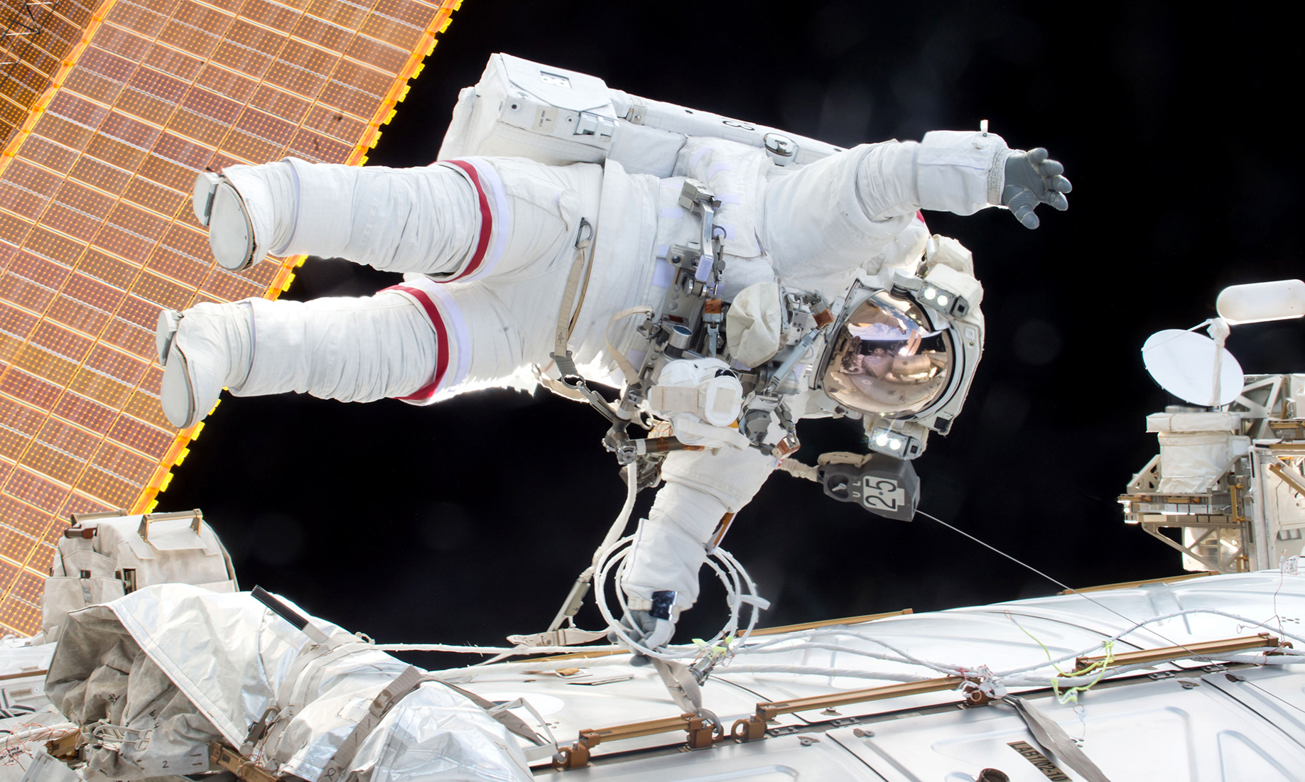 This week – Report on free expression in SA’s cultural sector, the International Day of Human Space Flight and talk on LGBTQI+ rights