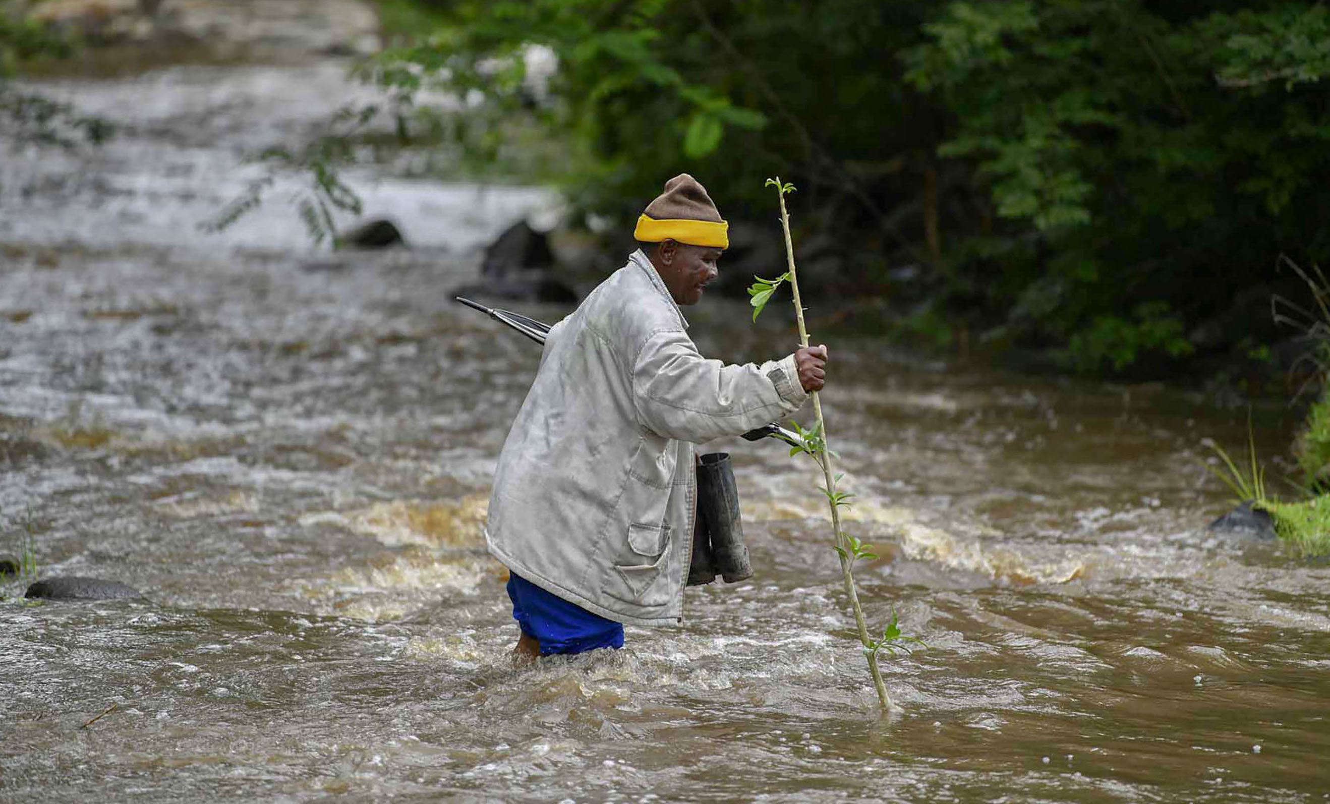 Are NGOs doing the work of the state? Should they?