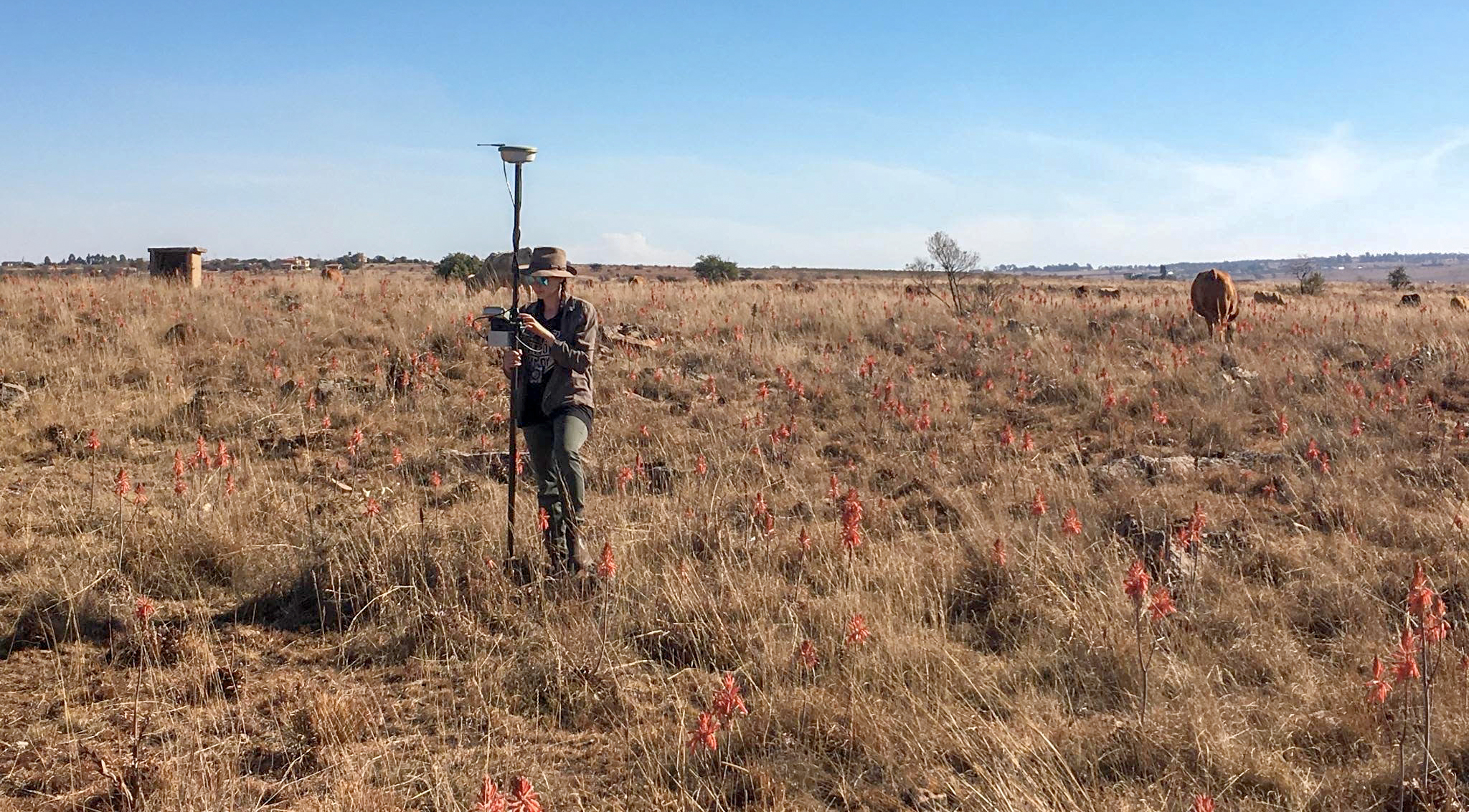 New study challenges the age of oldest cave at Cradle of Humankind