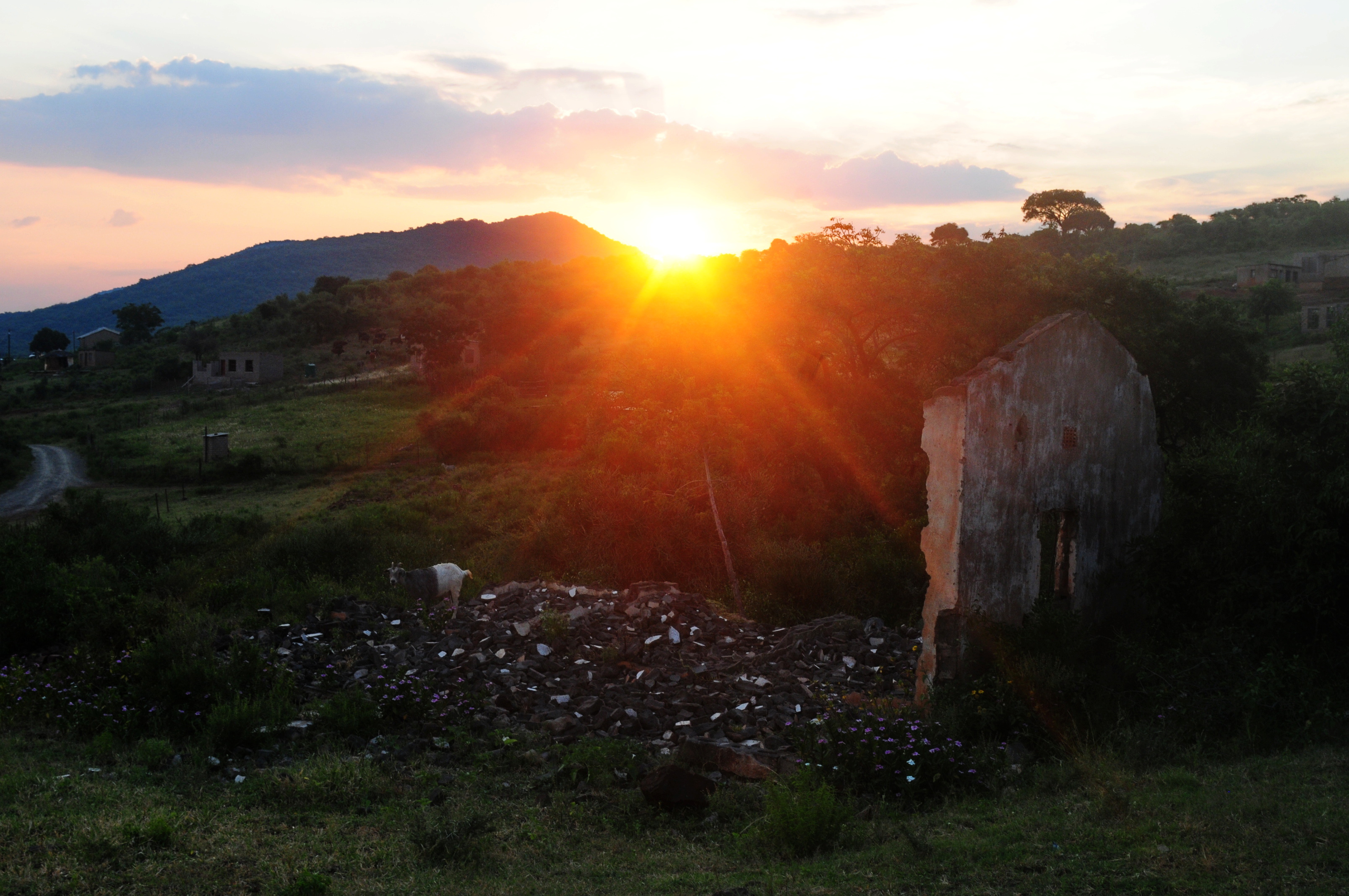 Death from the dumps: ‘We are dying every day’ – the ghost of Limpopo’s asbestos mining still stalks and kills the living