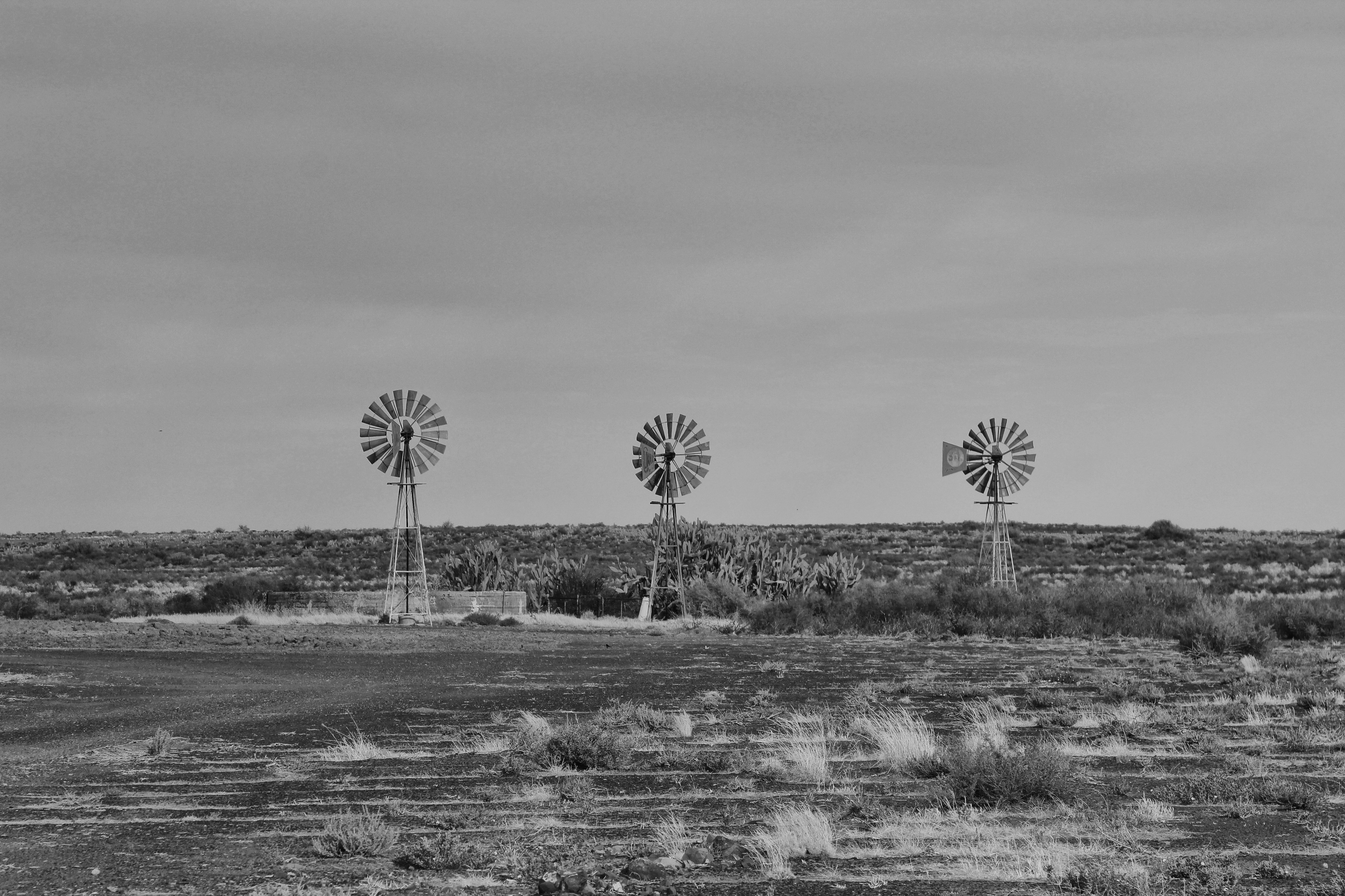 One night in Brandvlei – Karoo koeksisters at the front door to the Big Nothing