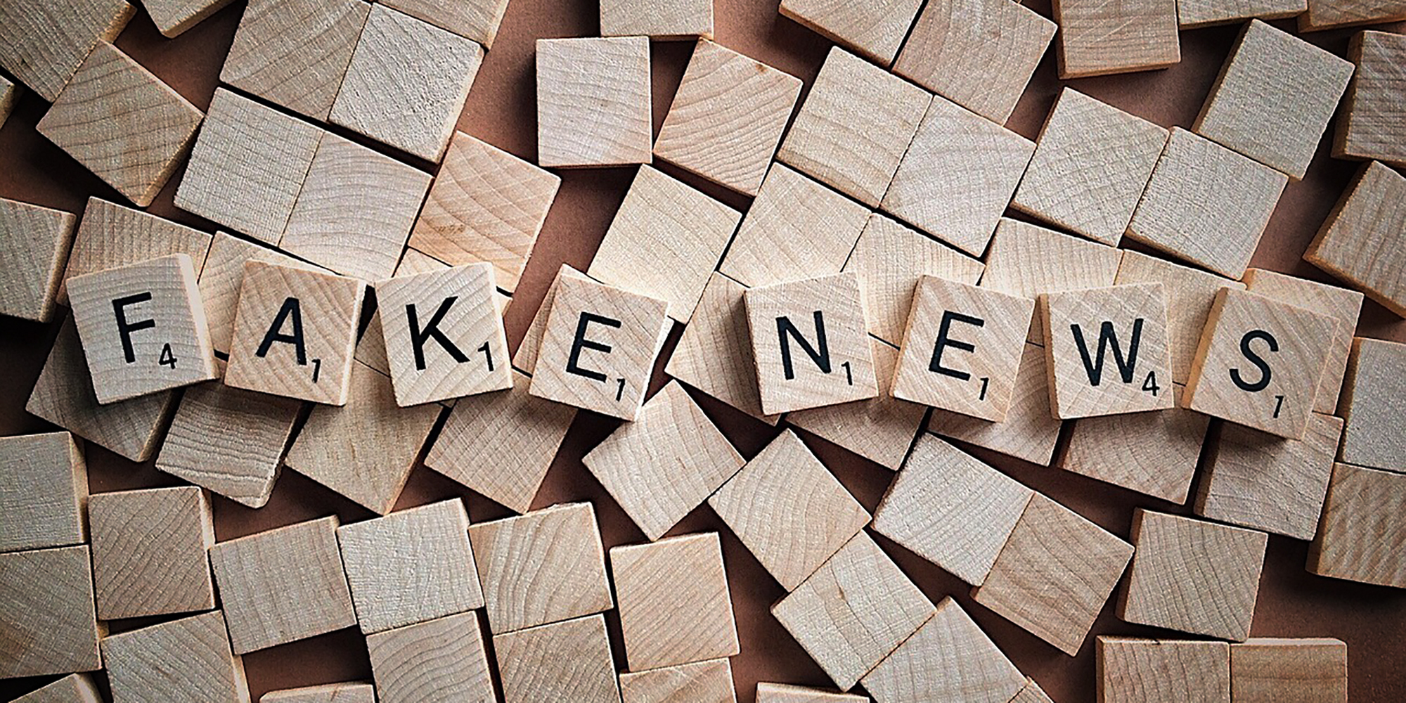 Fake news — The fight for South Africa’s future in the face of mounting disinformation